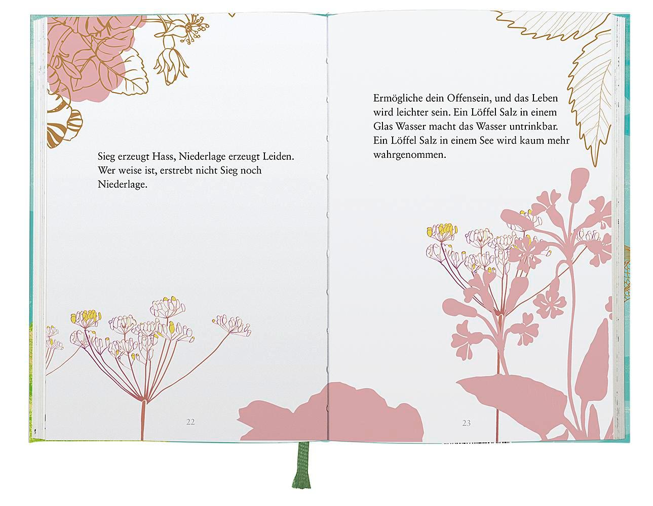 Beispielinhalt (Bild) Buddhas kleines Weisungsbuch