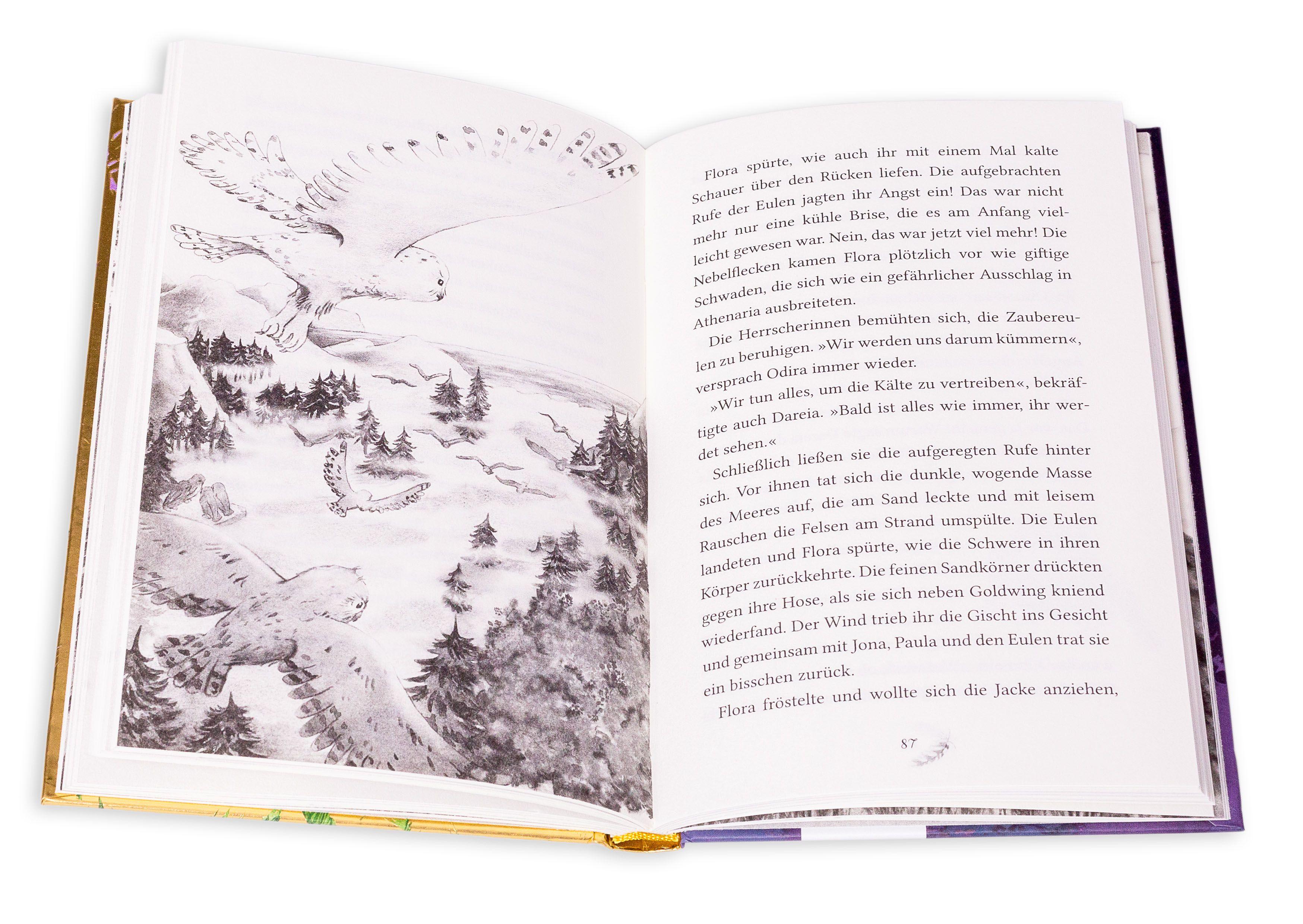 Beispielinhalt (Bild) Zaubereulen in Federland (2). Die Magie des Feuerbrunnens