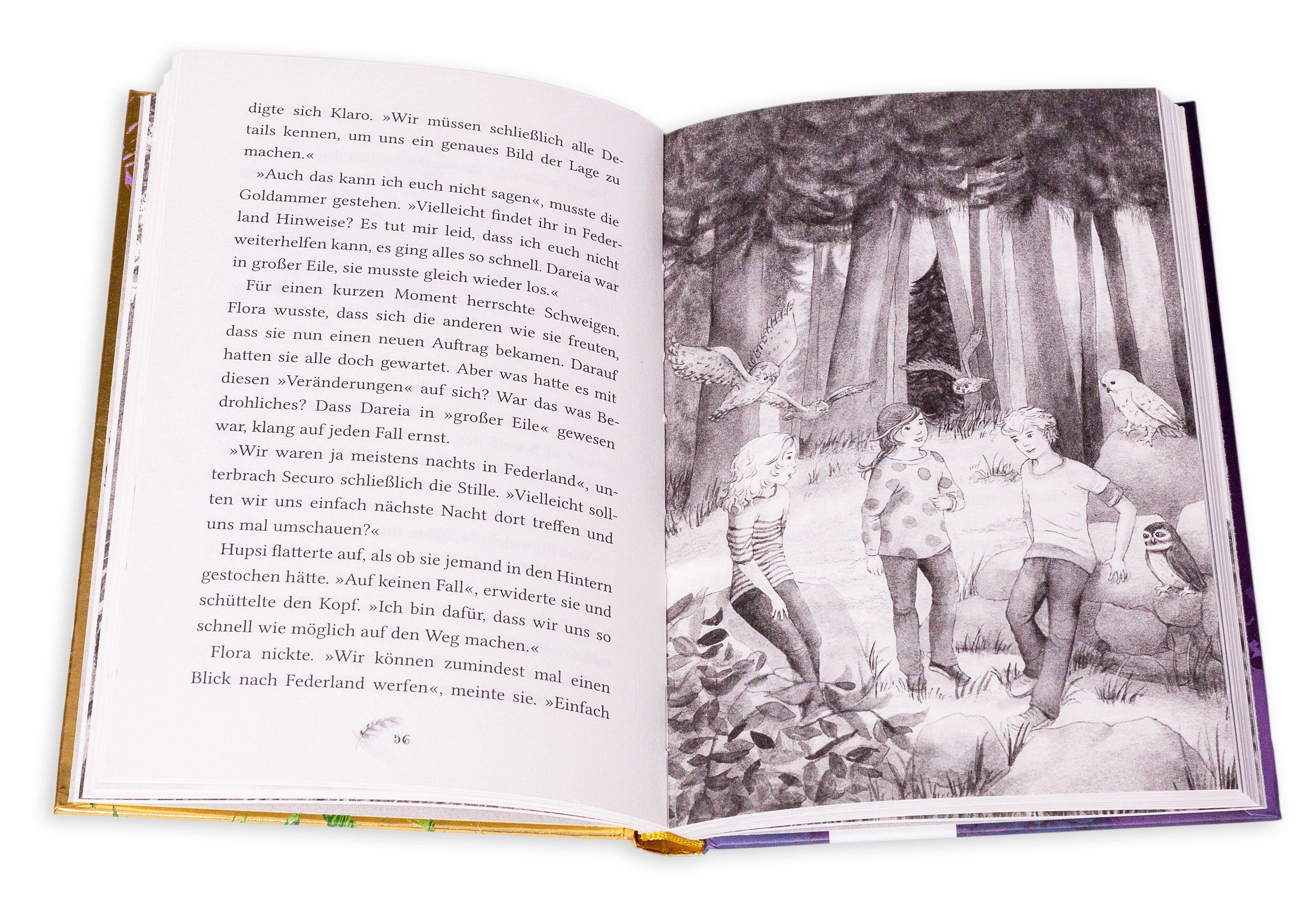 Beispielinhalt (Bild) Zaubereulen in Federland (2). Die Magie des Feuerbrunnens