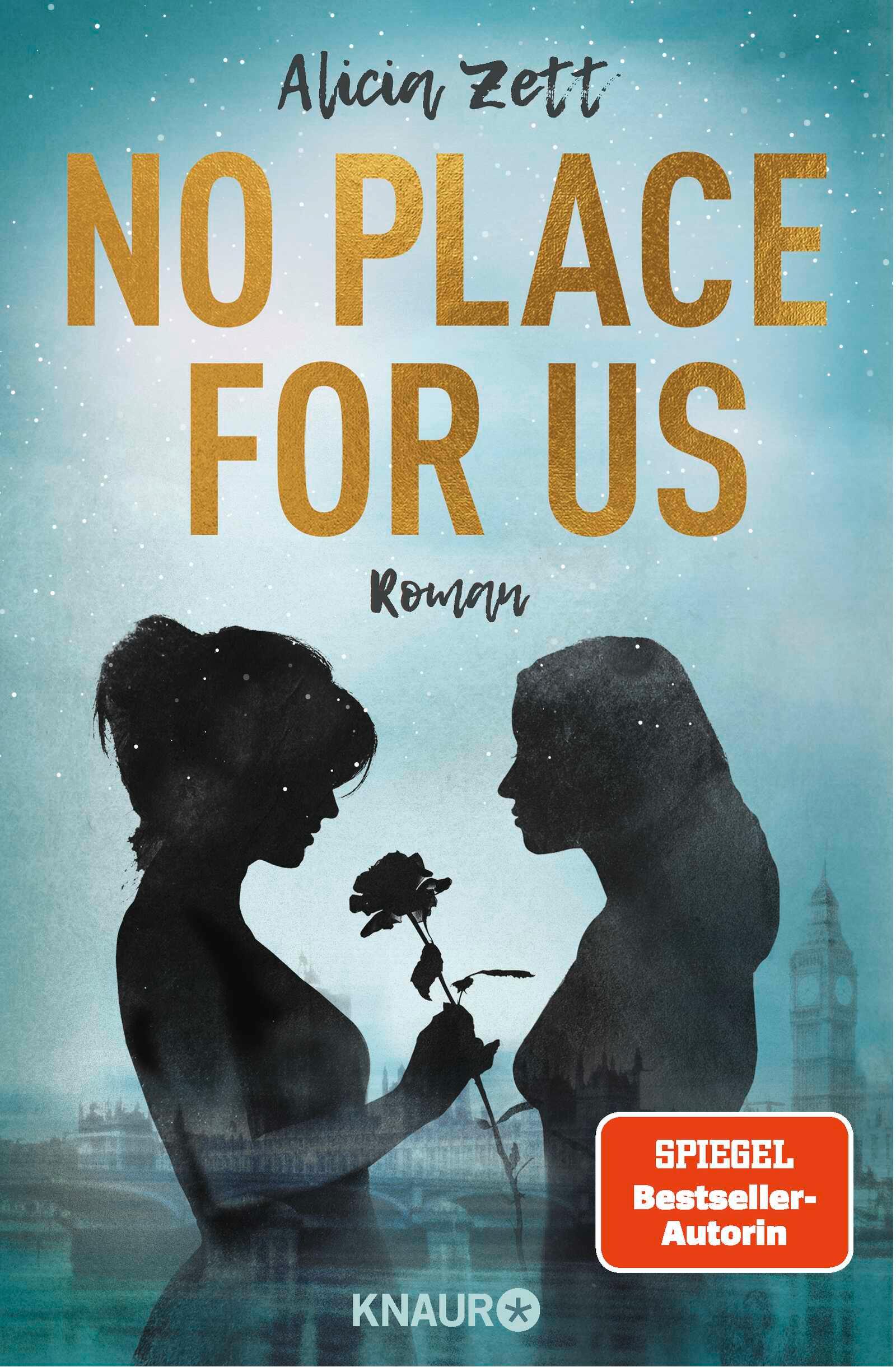 Vorderes Coverbild No Place For Us