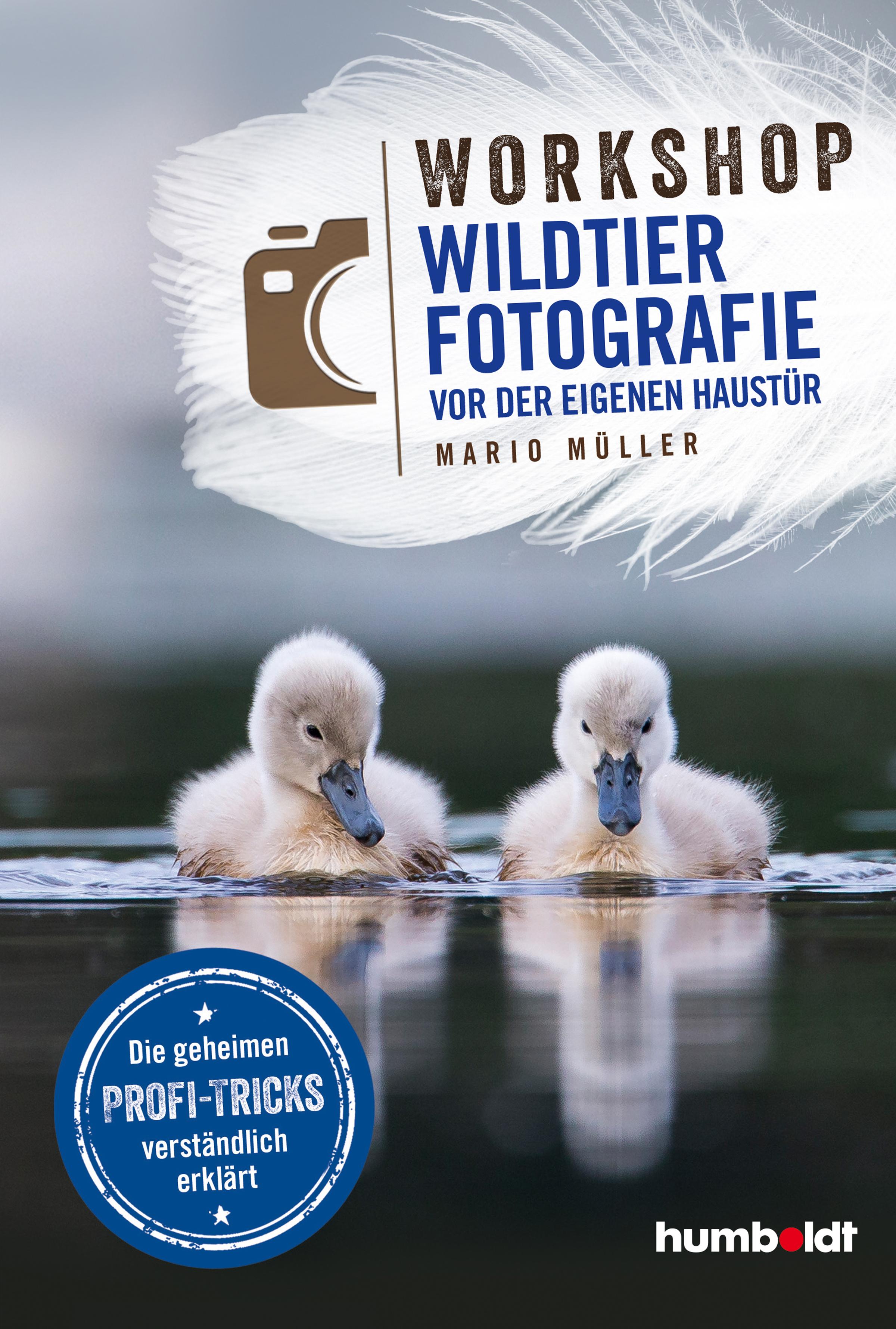 Vorderes Coverbild Workshop Wildtierfotografie vor der eigenen Haustür