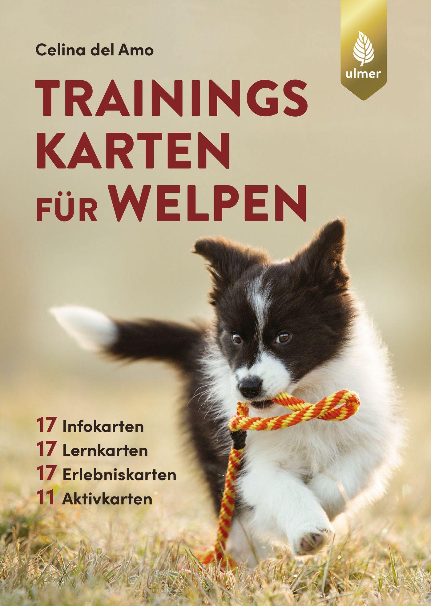 Vorderes Coverbild Trainingskarten für Welpen