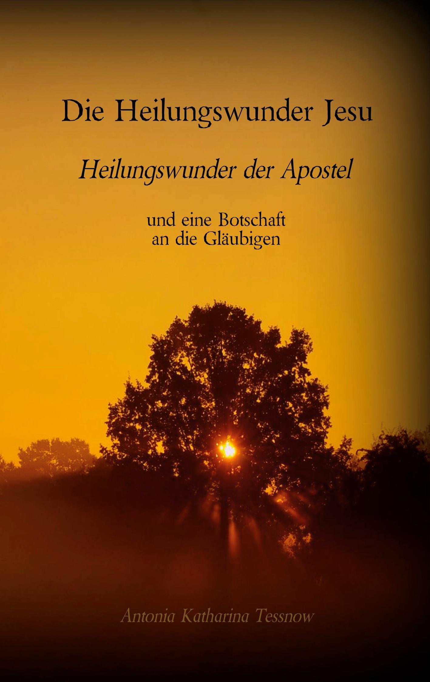 Vorderes Coverbild Die Heilungswunder Jesu, Heilungswunder der Apostel