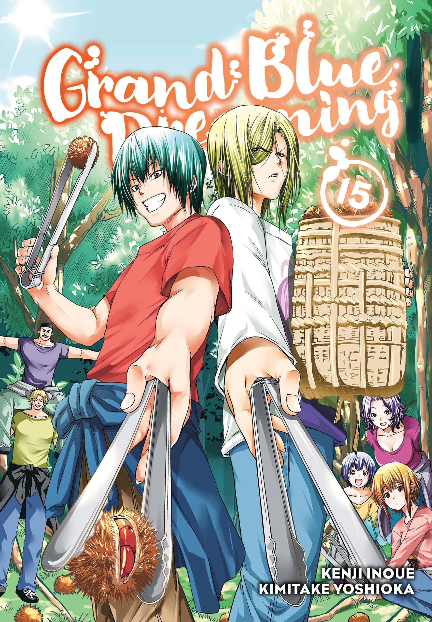 Vorderes Coverbild Grand Blue Dreaming 15