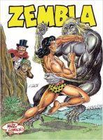 Vorderes Coverbild Zembla 4