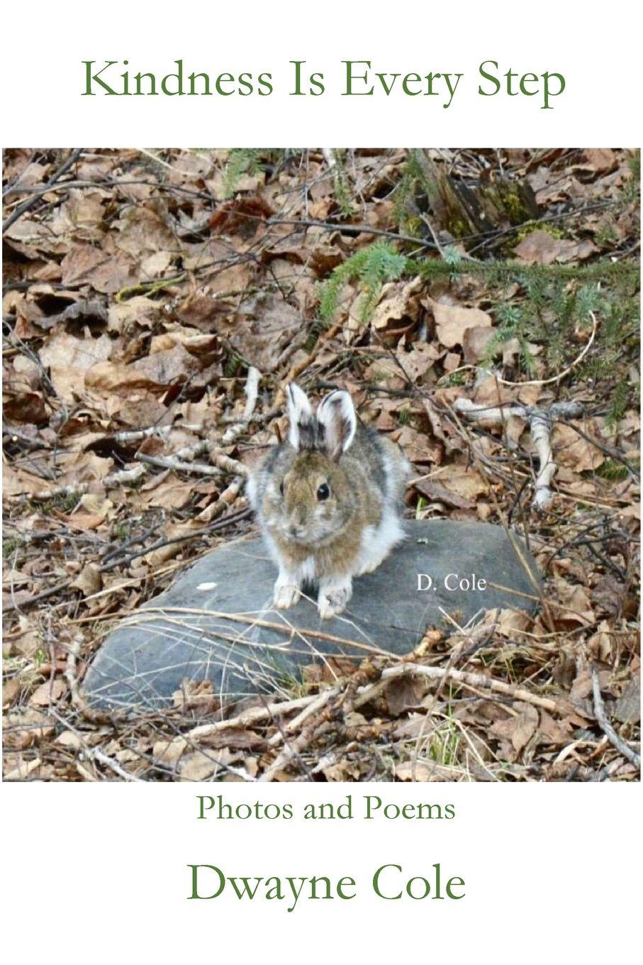 Vorderes Coverbild Kindness Is Every Step