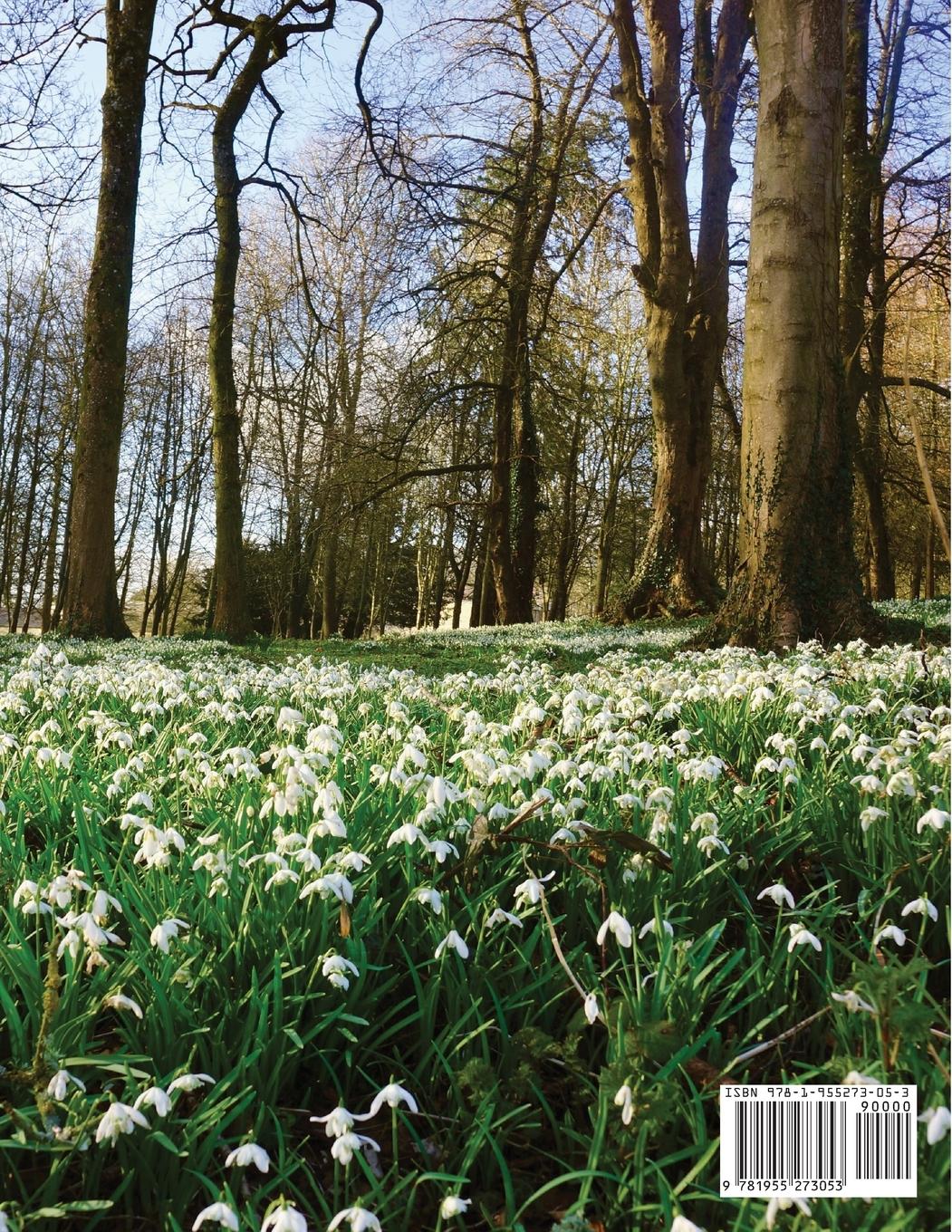 Rückseitencover Anglotopia Print Magazine - Issue 17 - The Magazine for Anglophiles