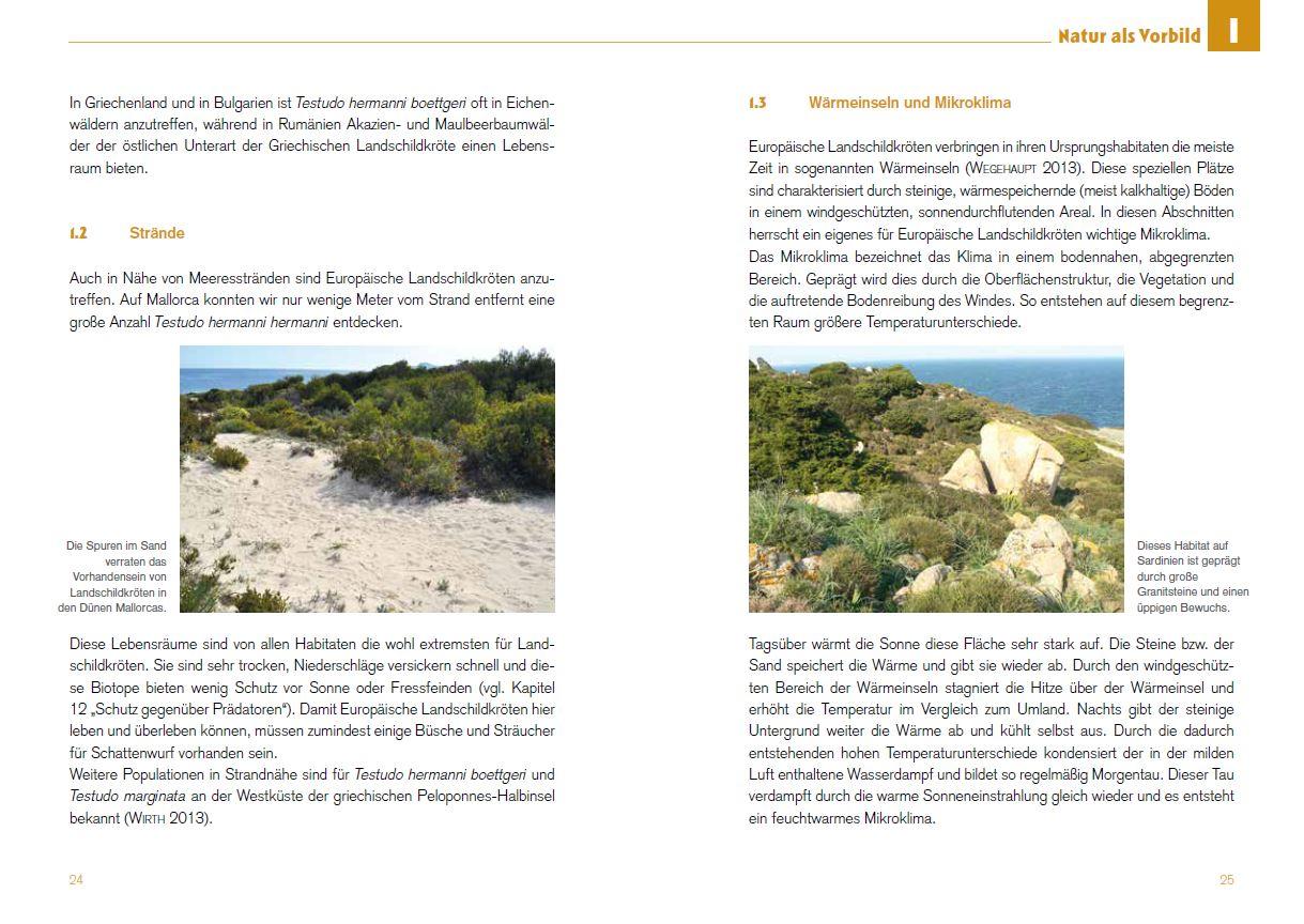 Beispielinhalt (Bild) Freigehege für Europäische Landschildkröten