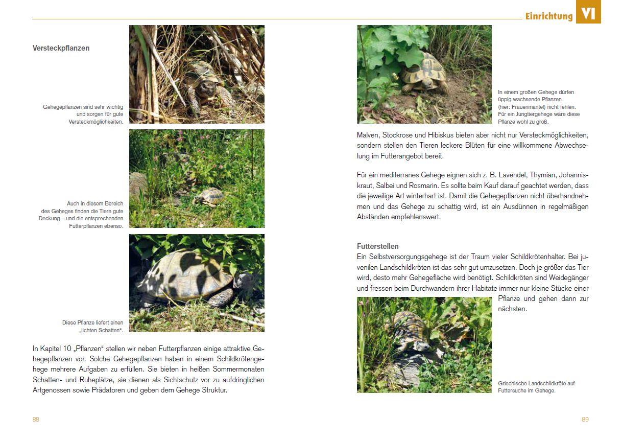 Beispielinhalt (Bild) Freigehege für Europäische Landschildkröten