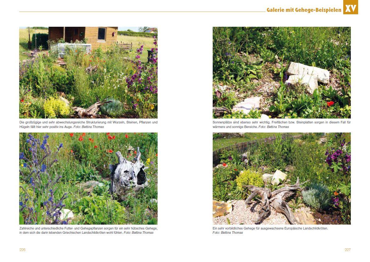 Beispielinhalt (Bild) Freigehege für Europäische Landschildkröten