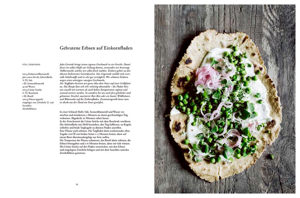 Beispielinhalt (Bild) Erde, Salz & Glut (Krautkopf)