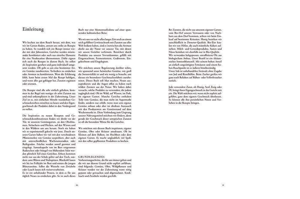 Beispielinhalt (Bild) Erde, Salz & Glut (Krautkopf)