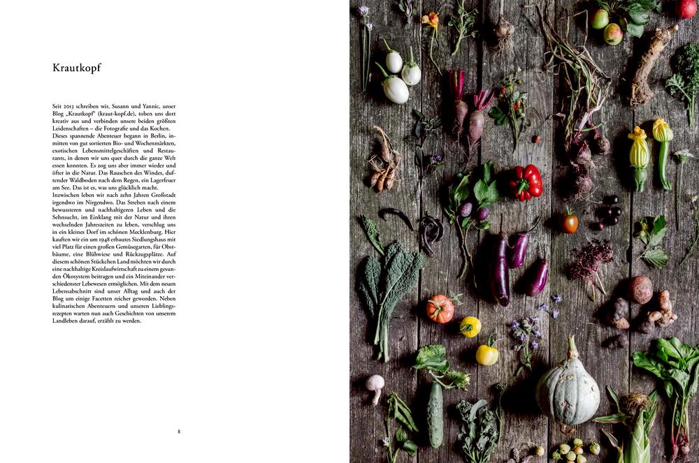 Beispielinhalt (Bild) Erde, Salz & Glut (Krautkopf)