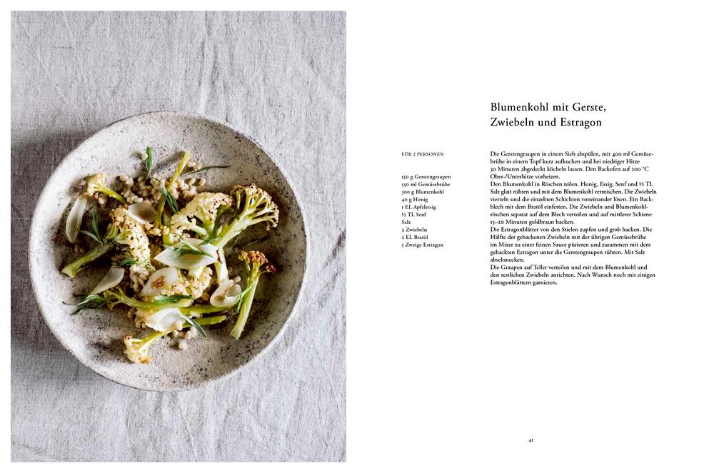 Beispielinhalt (Bild) Erde, Salz & Glut (Krautkopf)