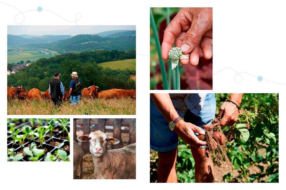 Beispielinhalt (Bild) Lecker an Bord