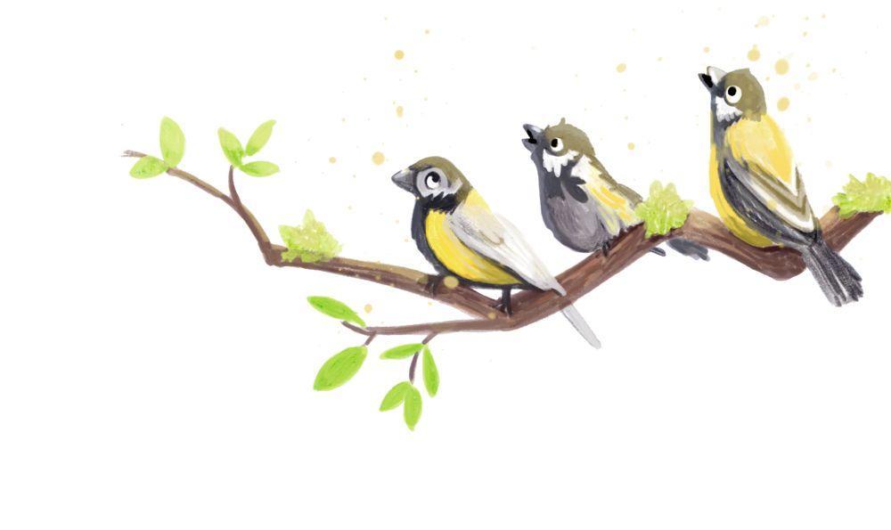 Beispielinhalt (Bild) Emil Einstein (Bd. 1)