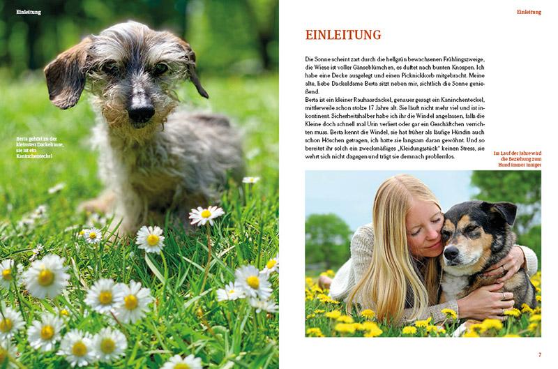 Beispielinhalt (Bild) Hunde-Rentner