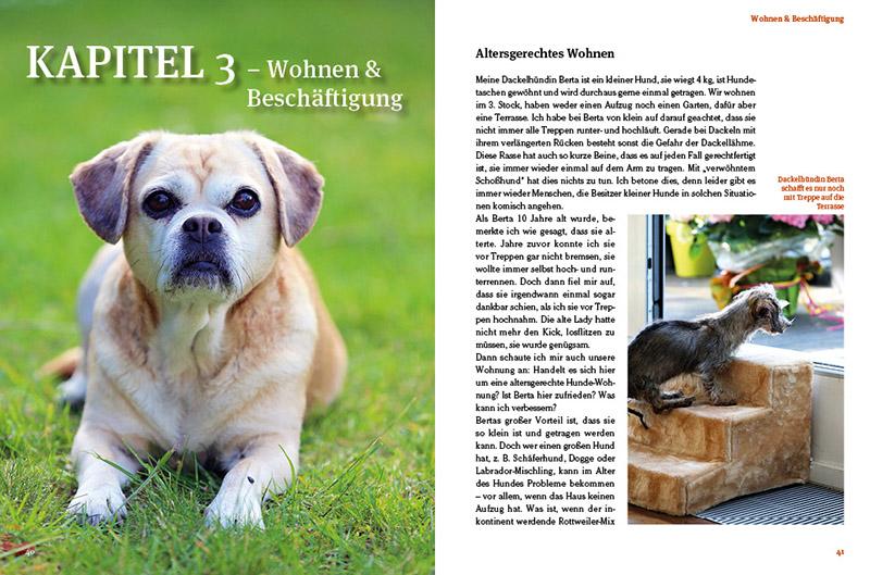Beispielinhalt (Bild) Hunde-Rentner