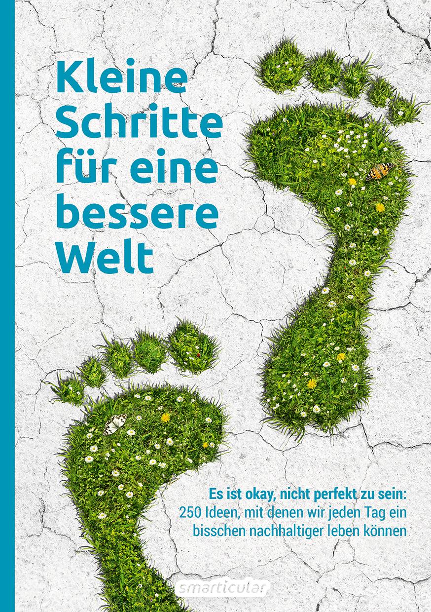 Vorderes Coverbild Kleine Schritte für eine bessere Welt
