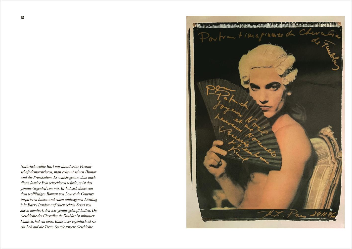 Beispielinhalt (Bild) KARL. Wir Komplizen der Schönheit