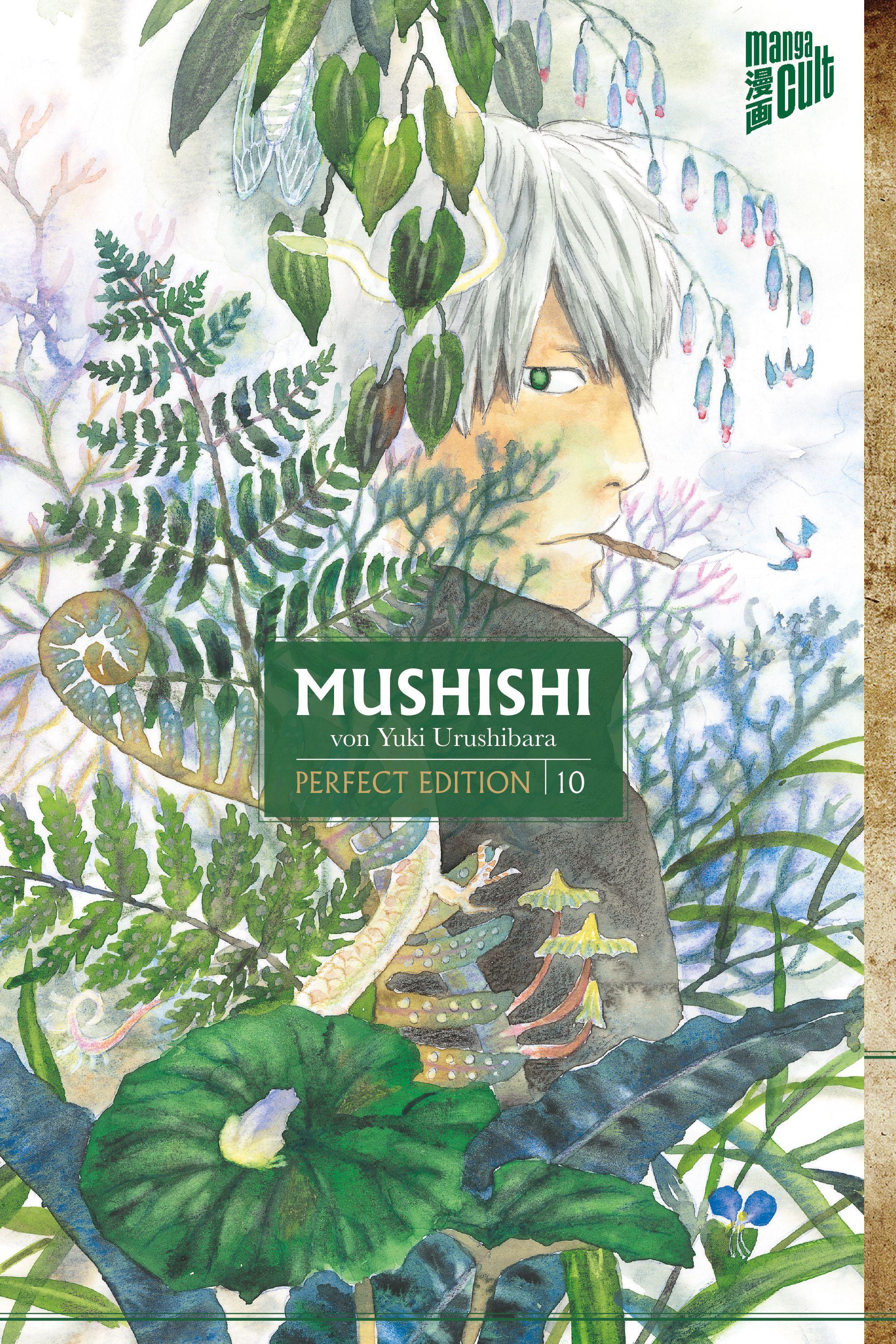 Vorderes Coverbild Mushishi - Perfect Edition 10