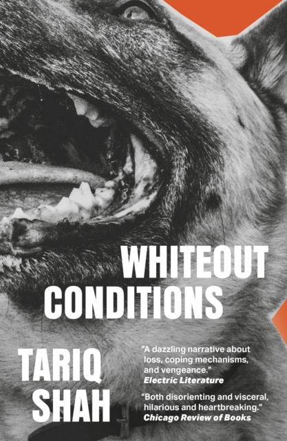 Vorderes Coverbild Whiteout Conditions