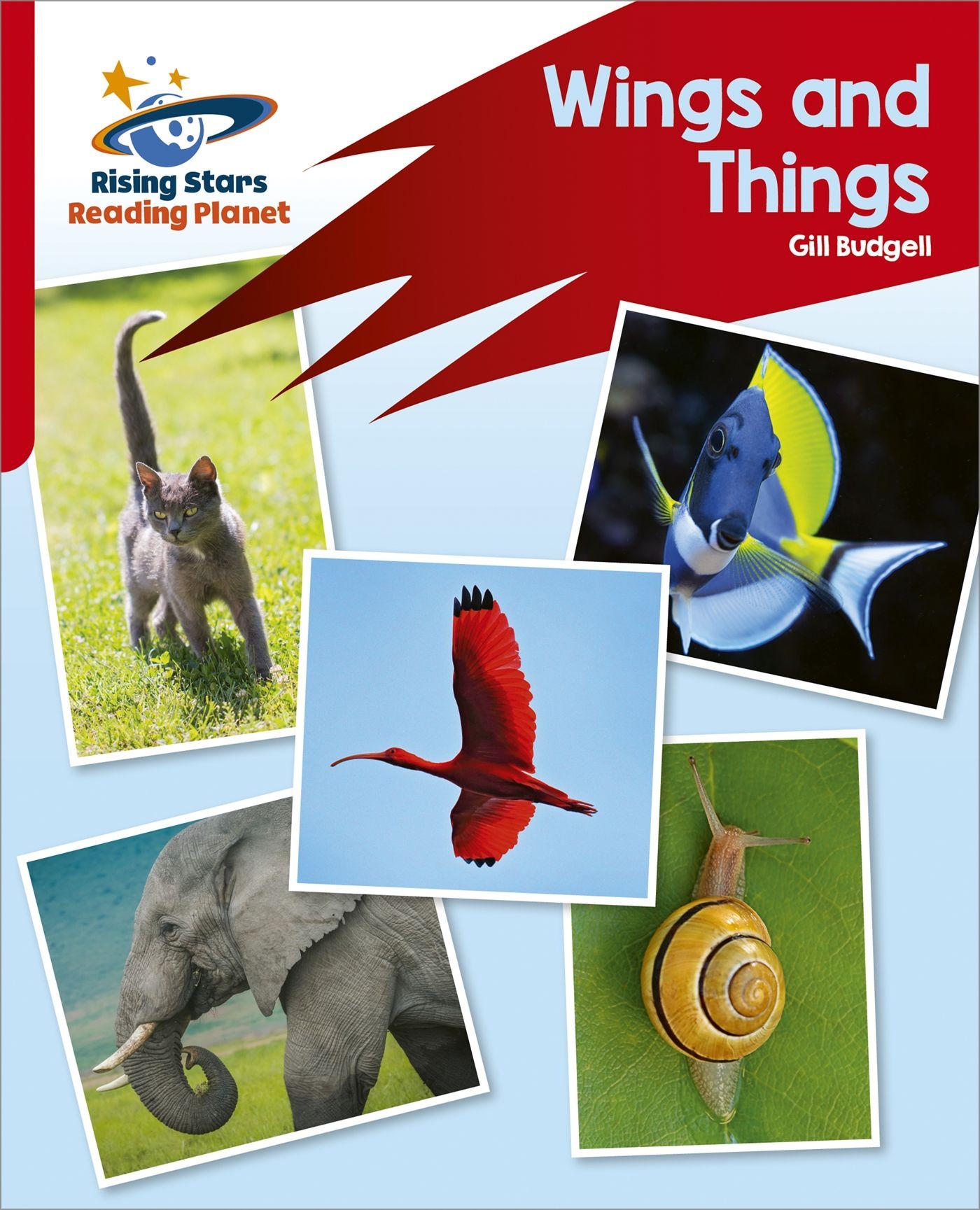 Vorderes Coverbild Reading Planet: Rocket Phonics - Target Practice - Wings and Things - Red B