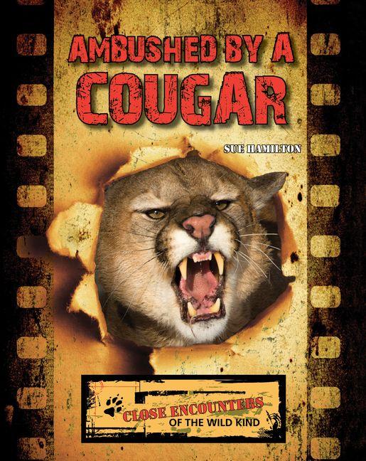 Vorderes Coverbild Ambushed by a Cougar