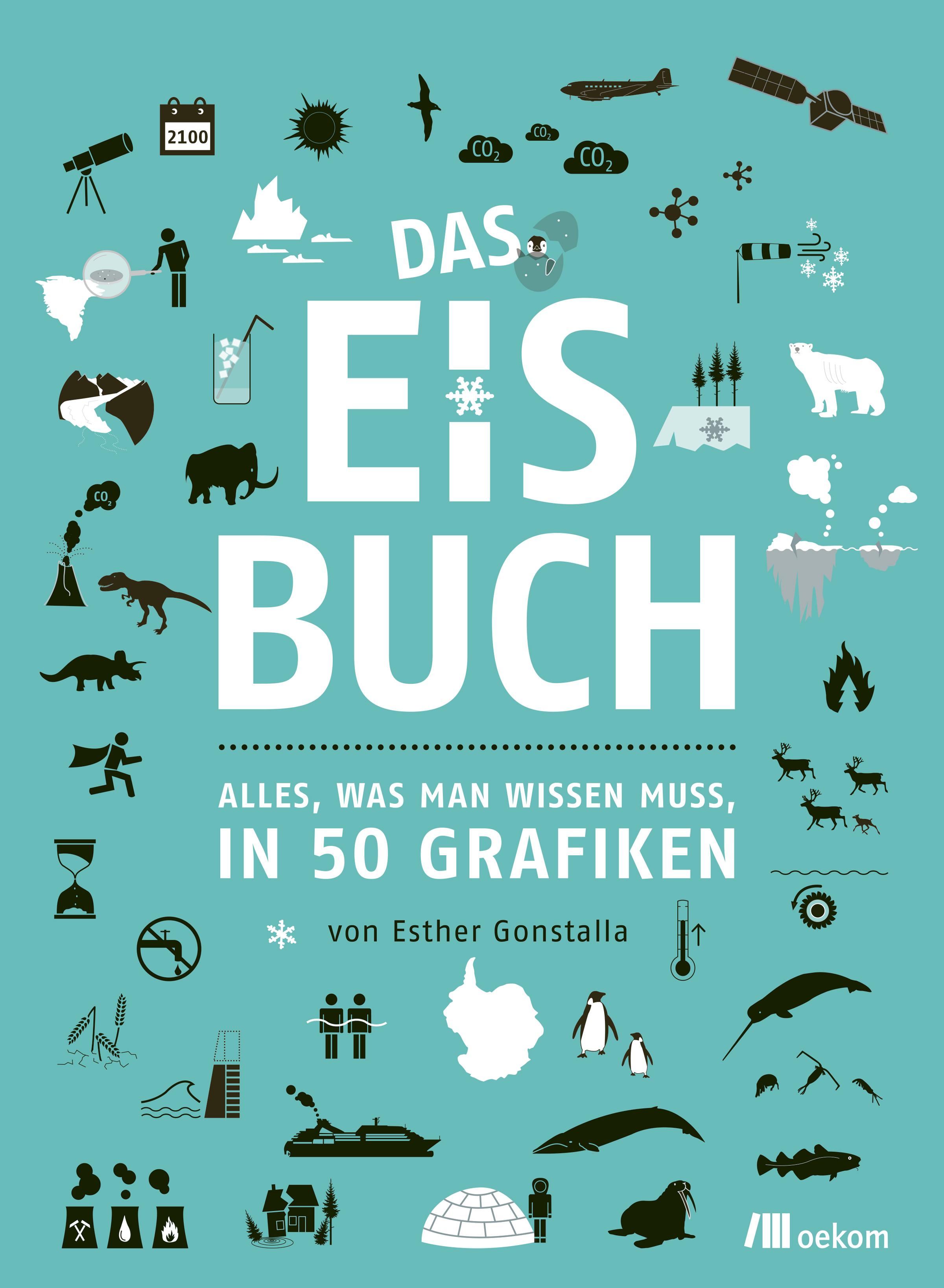 Vorderes Coverbild Das Eisbuch