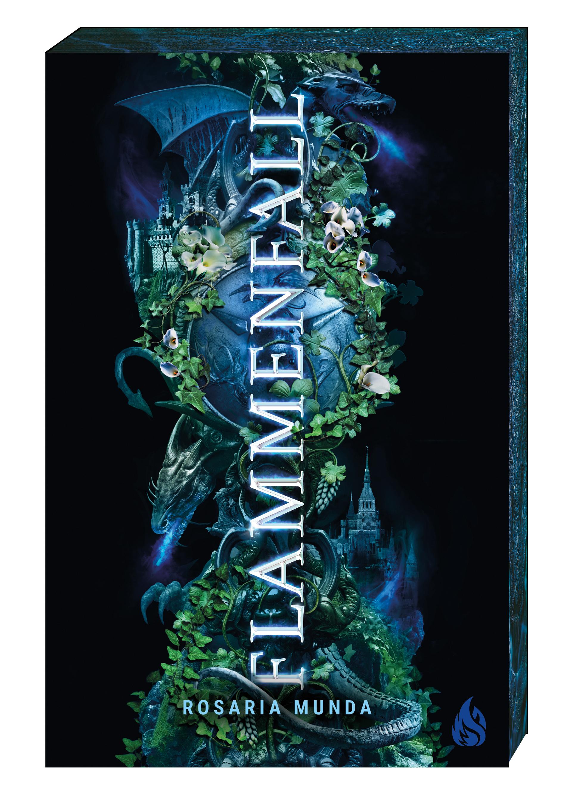 Vorderes Coverbild Flammenfall