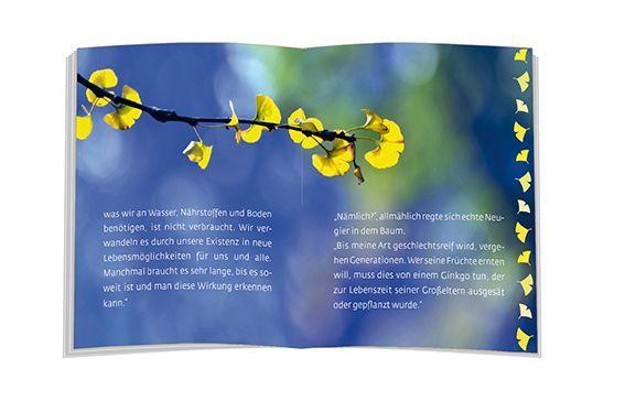 Beispielinhalt (Bild) Das Märchen vom Lebensbaum