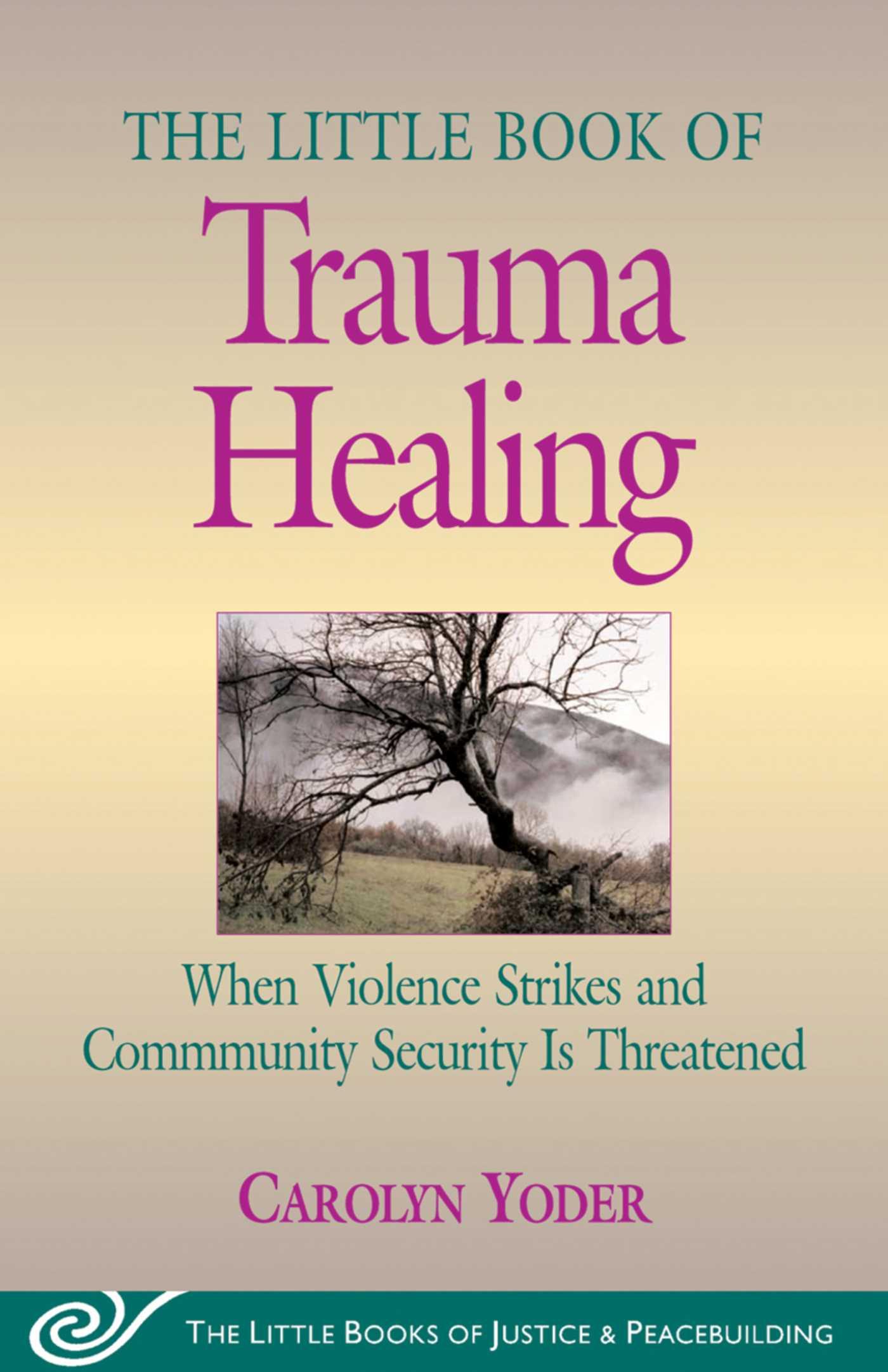 Vorderes Coverbild Little Book of Trauma Healing
