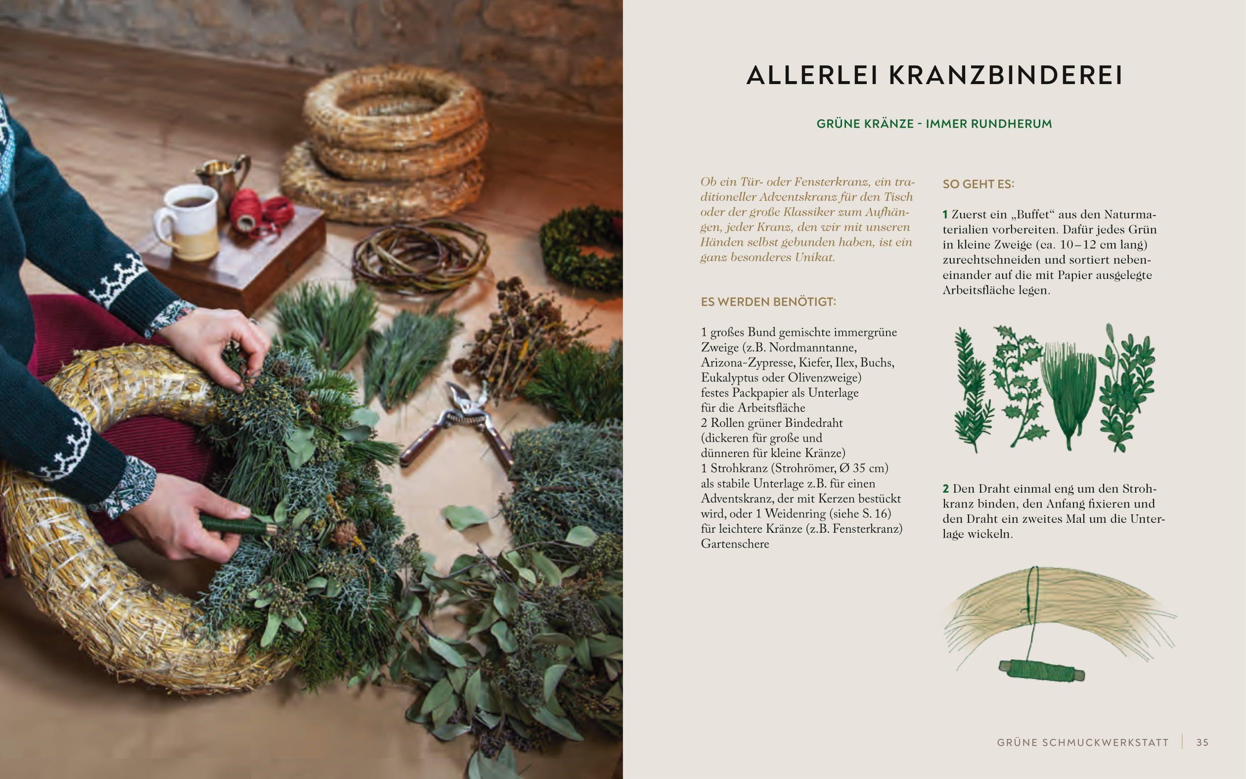 Beispielinhalt (Bild) Wintergrün & Sternanis