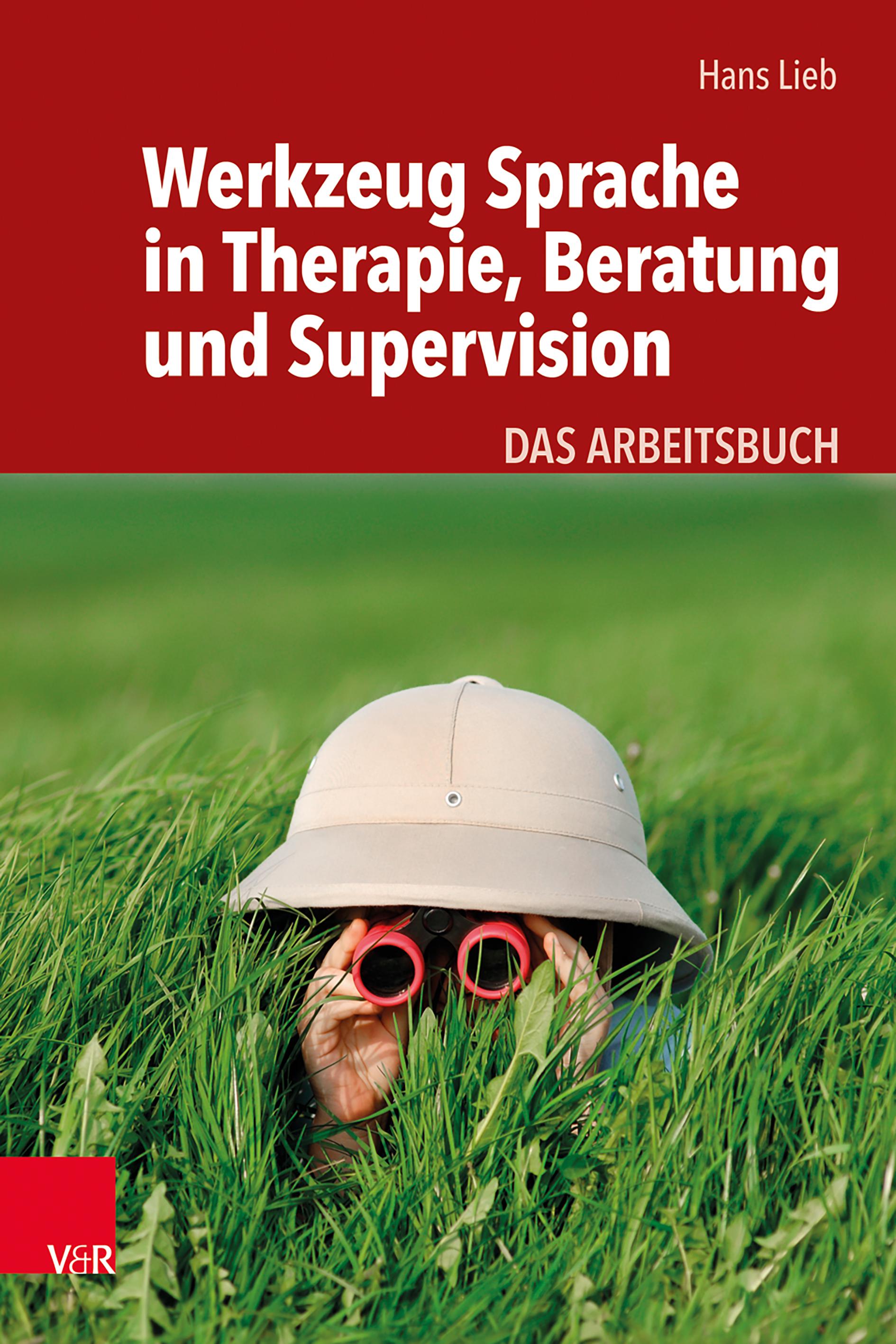 Vorderes Coverbild Werkzeug Sprache in Therapie, Beratung und Supervision