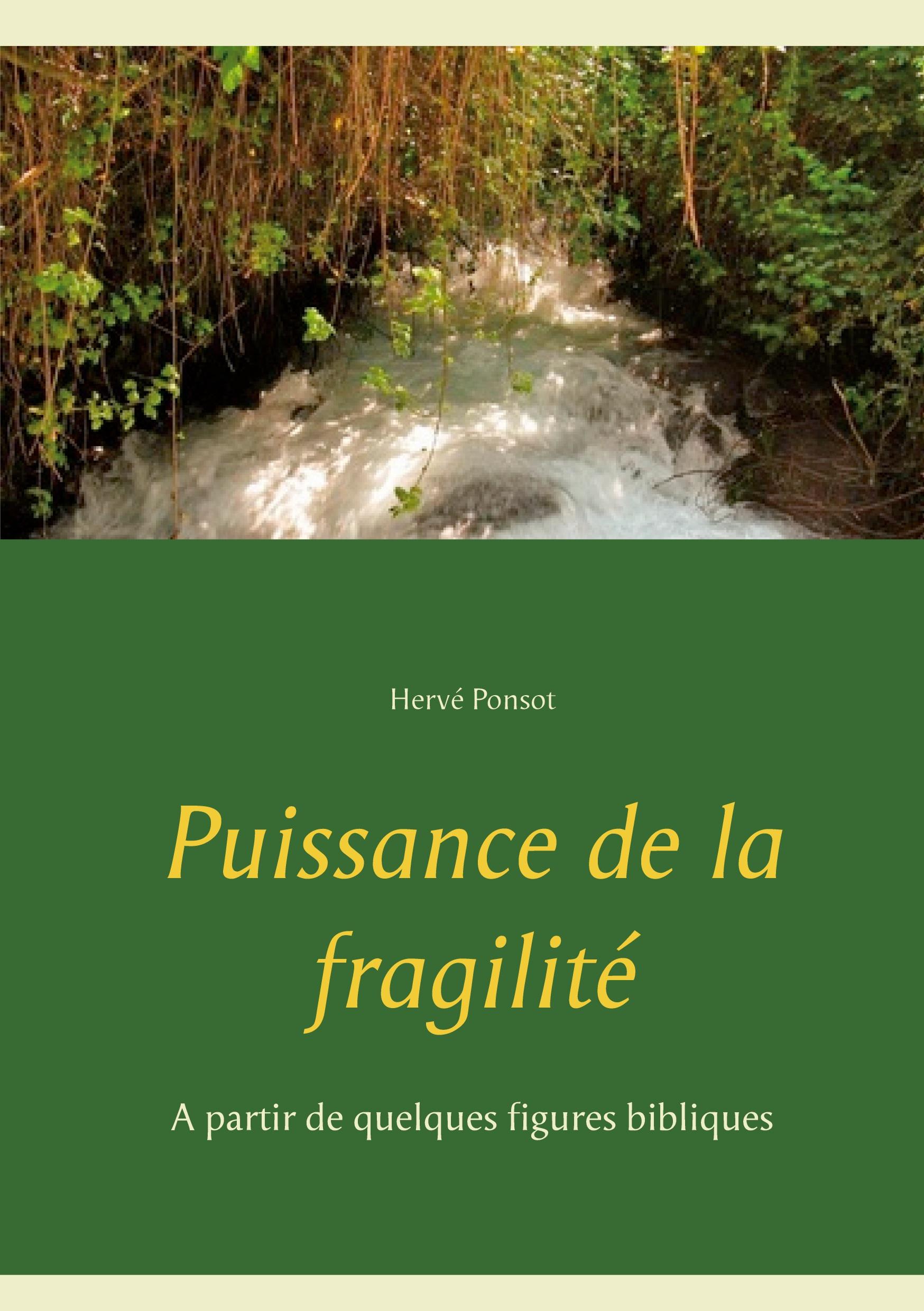 Vorderes Coverbild Puissance de la fragilité