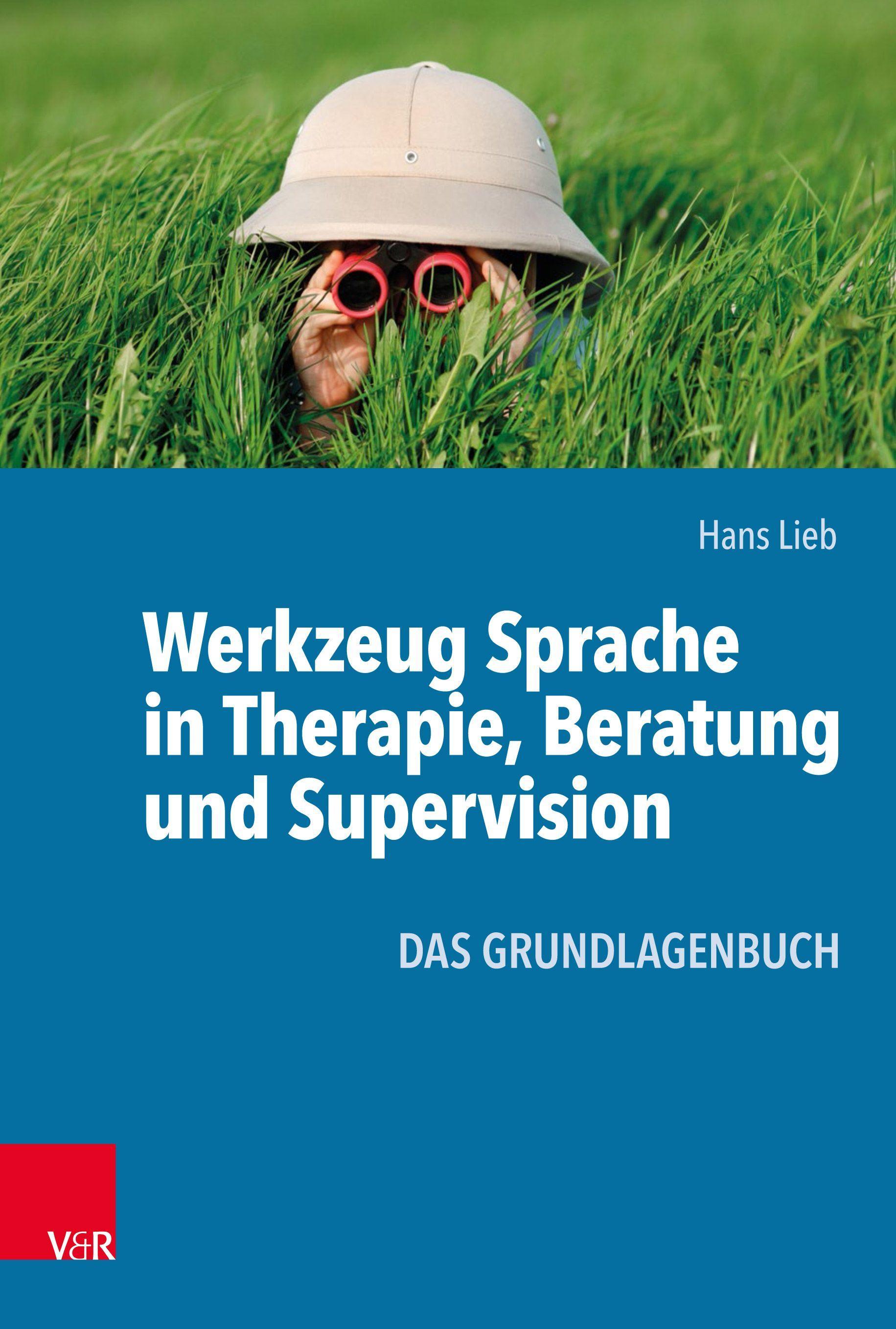 Vorderes Coverbild Werkzeug Sprache in Therapie, Beratung und Supervision