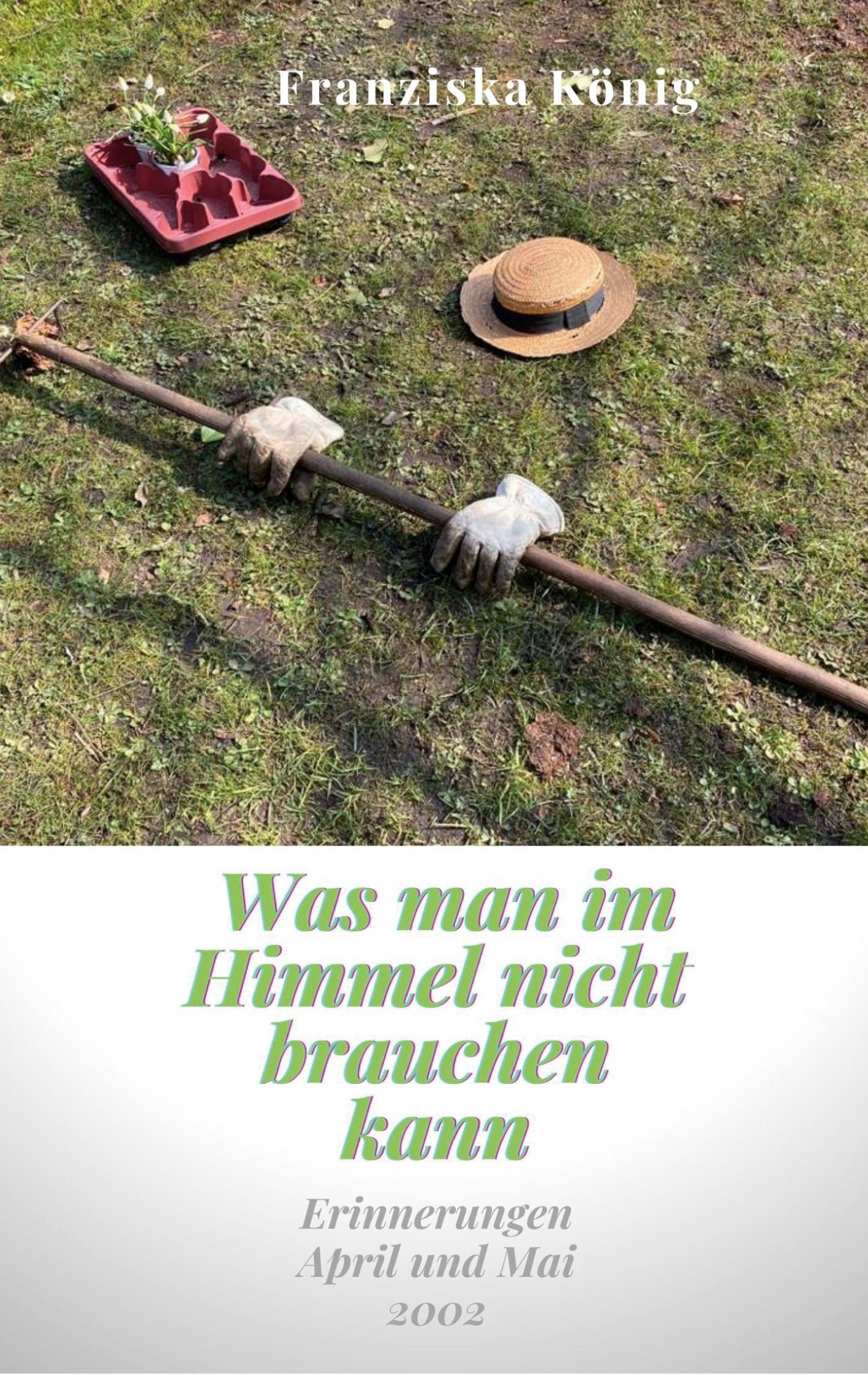 Vorderes Coverbild Was man im Himmel nicht brauchen kann