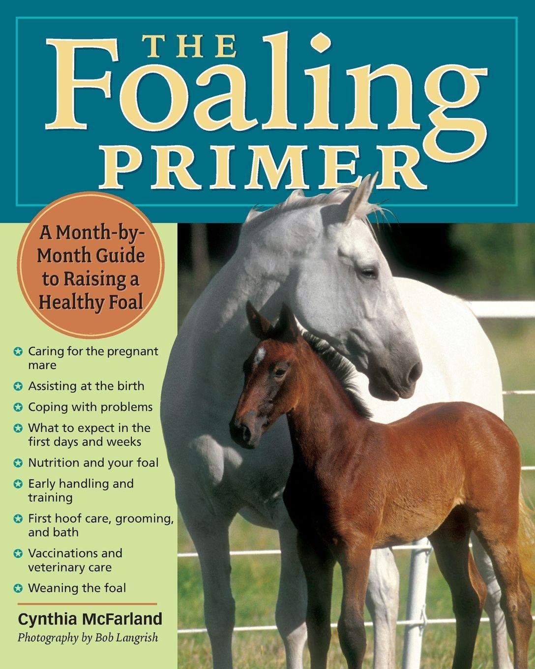 Vorderes Coverbild Foaling Primer