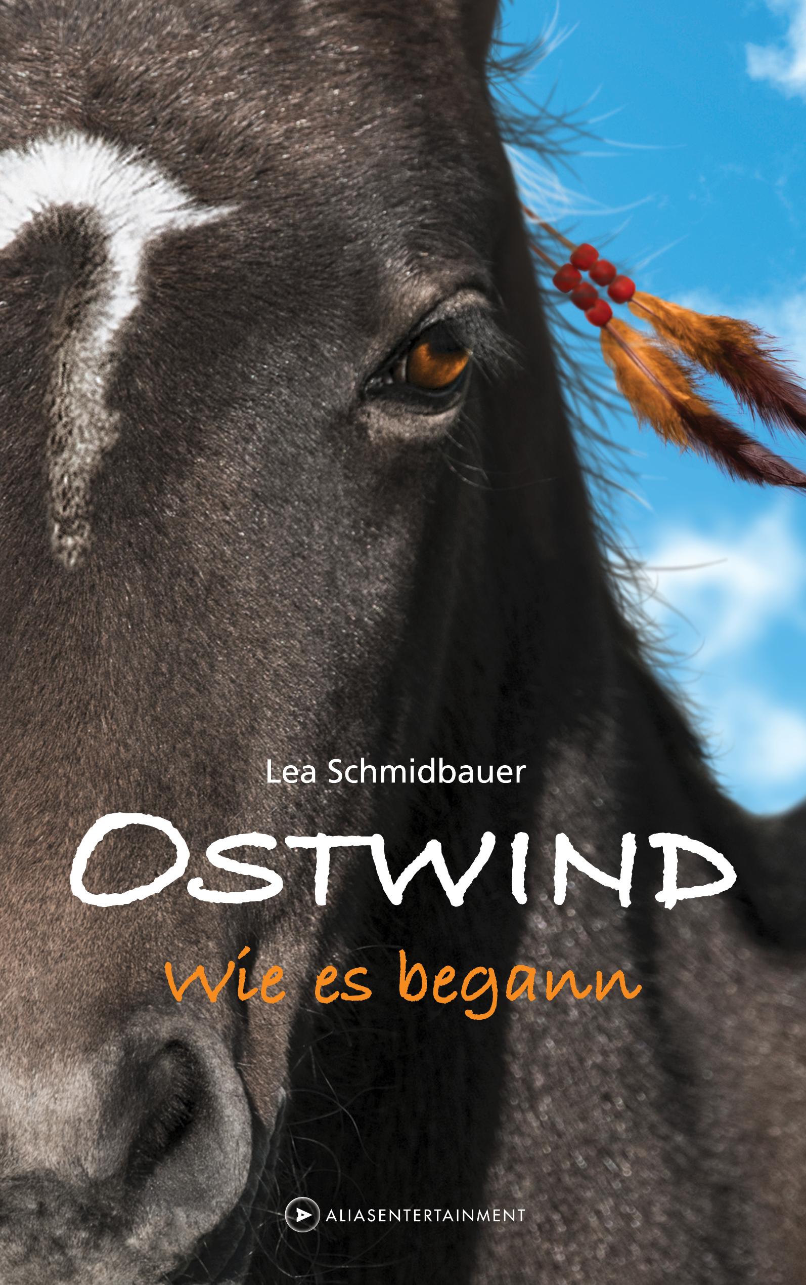 Vorderes Coverbild OSTWIND - Wie es begann