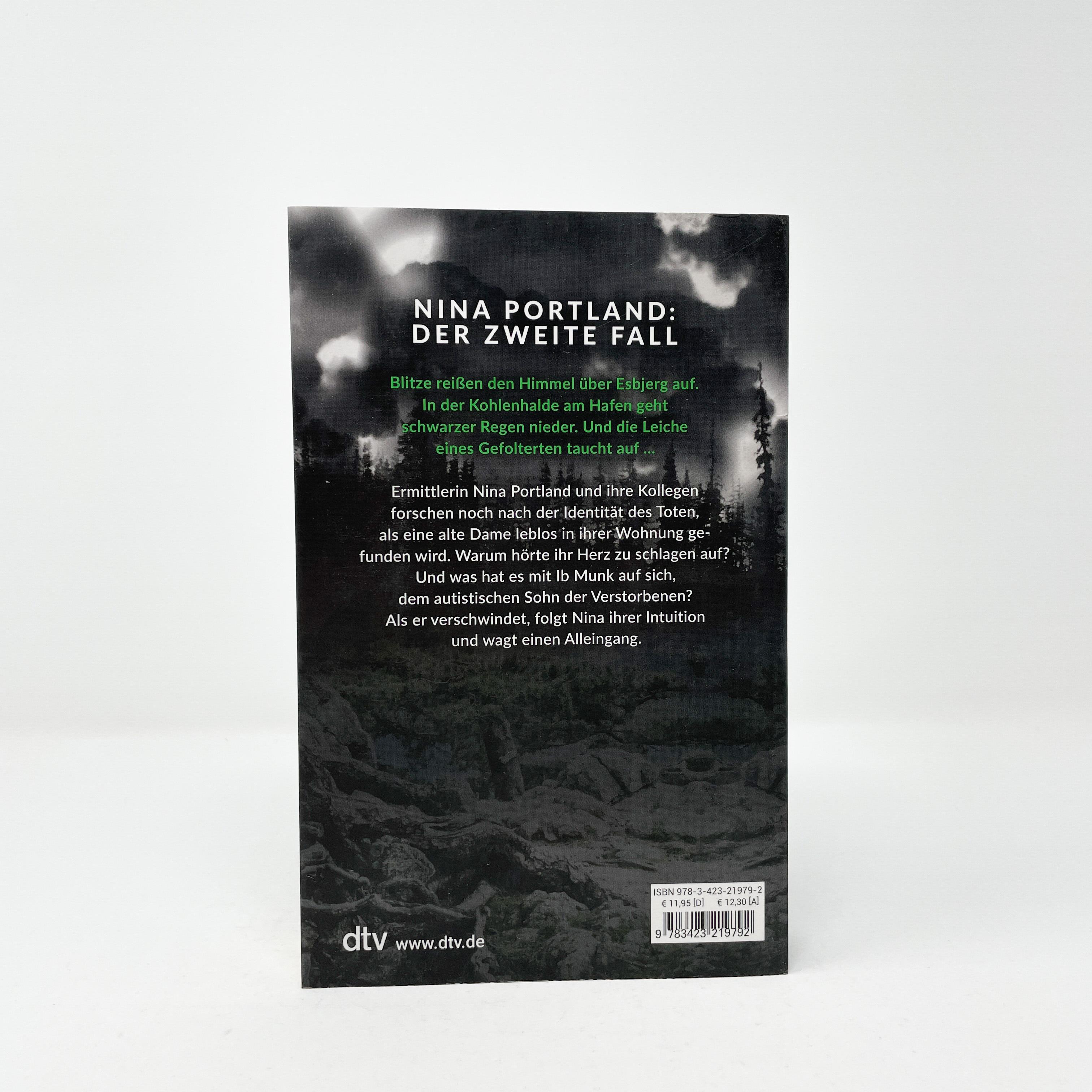 Beispielinhalt (Bild) SØG. Schwarzer Himmel