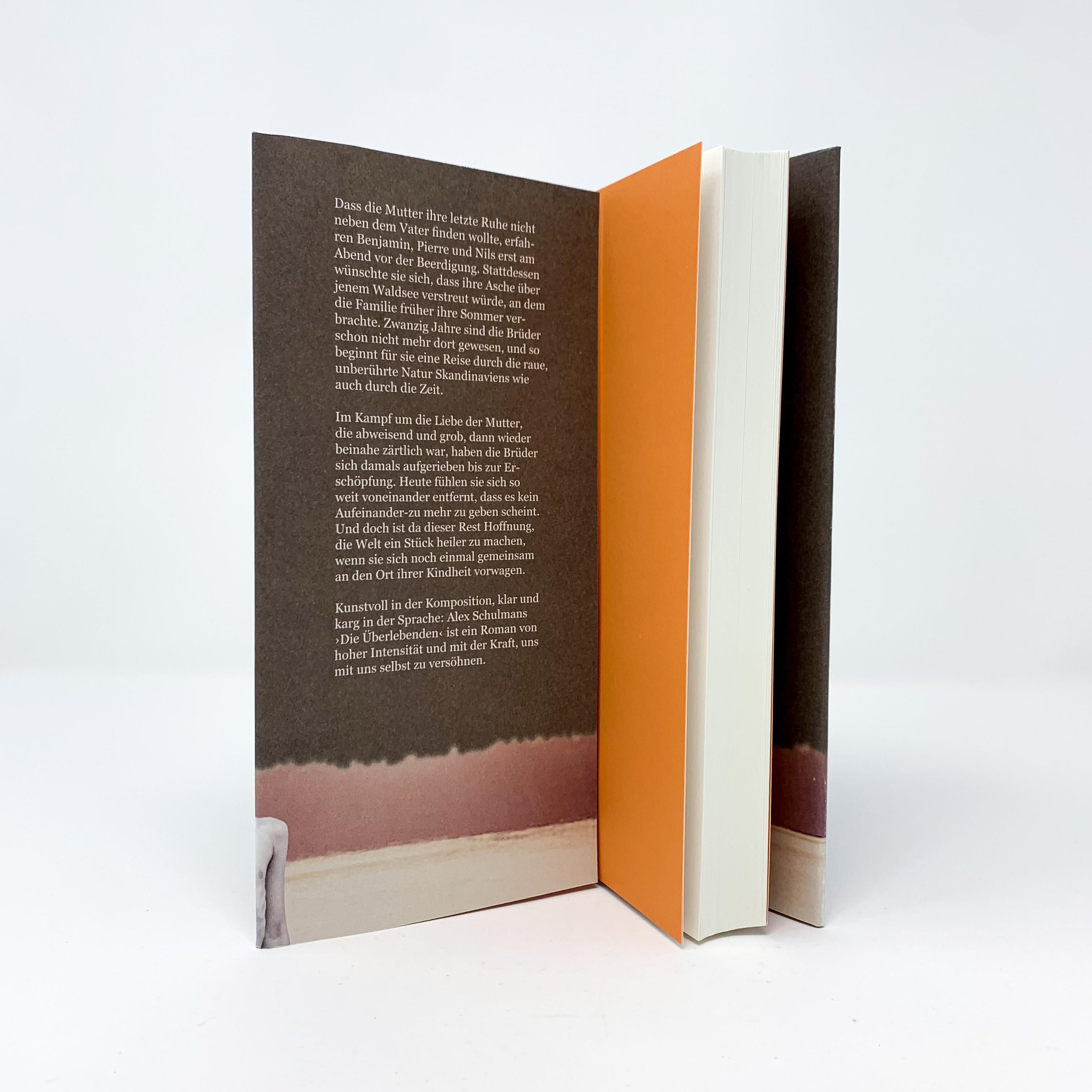 Beispielinhalt (Bild) Die Überlebenden