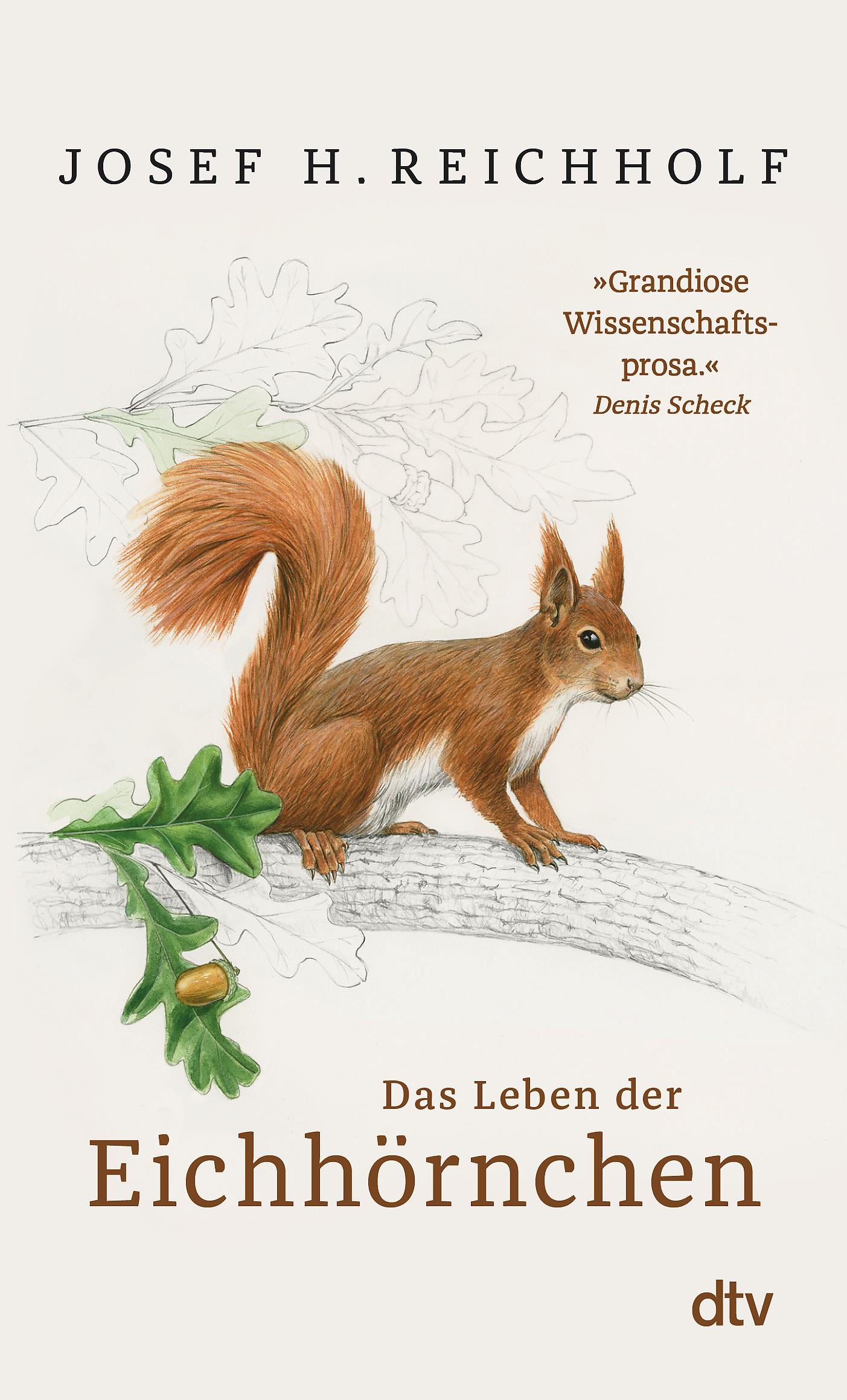 Vorderes Coverbild Das Leben der Eichhörnchen
