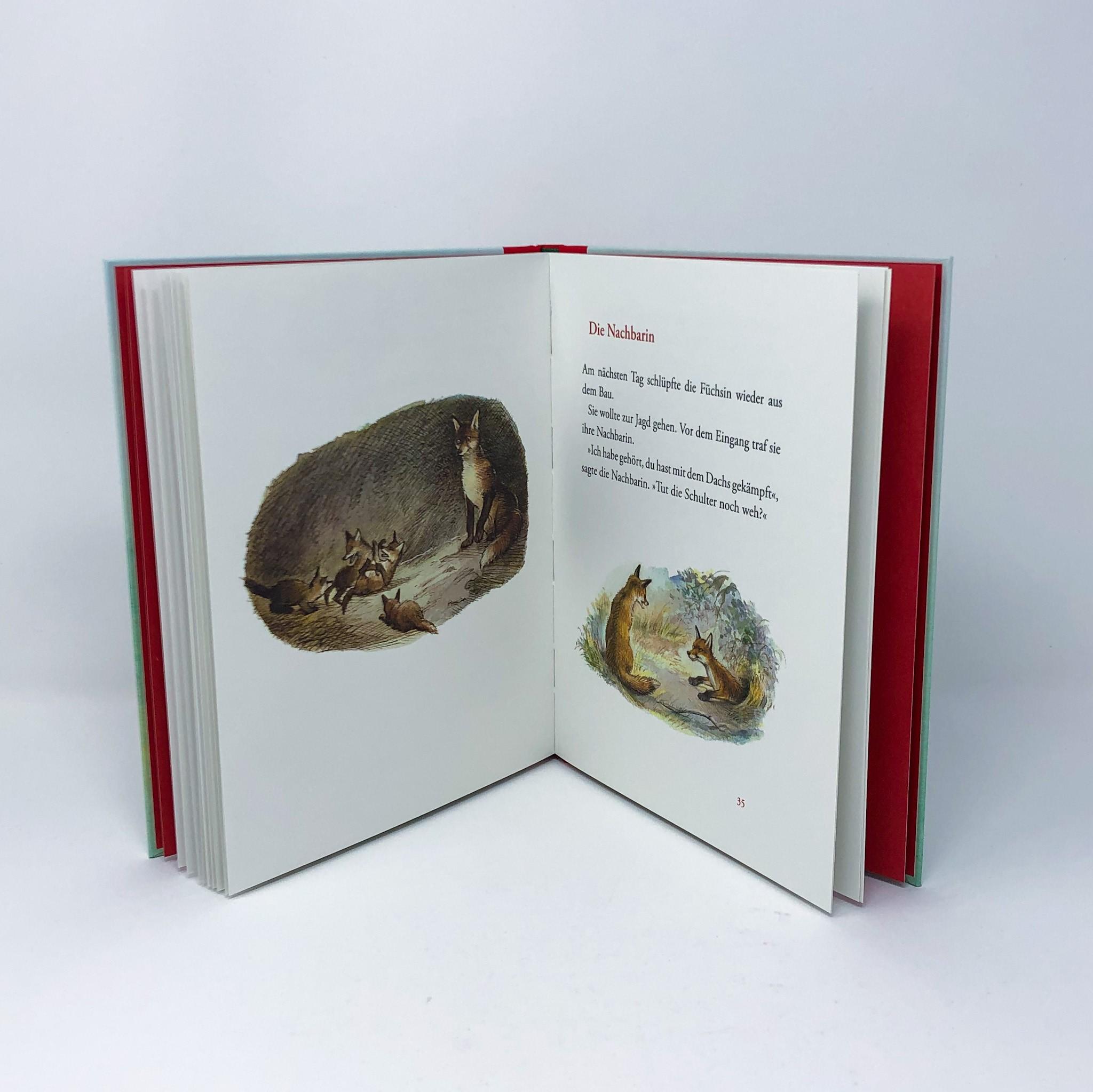 Beispielinhalt (Bild) Der Findefuchs