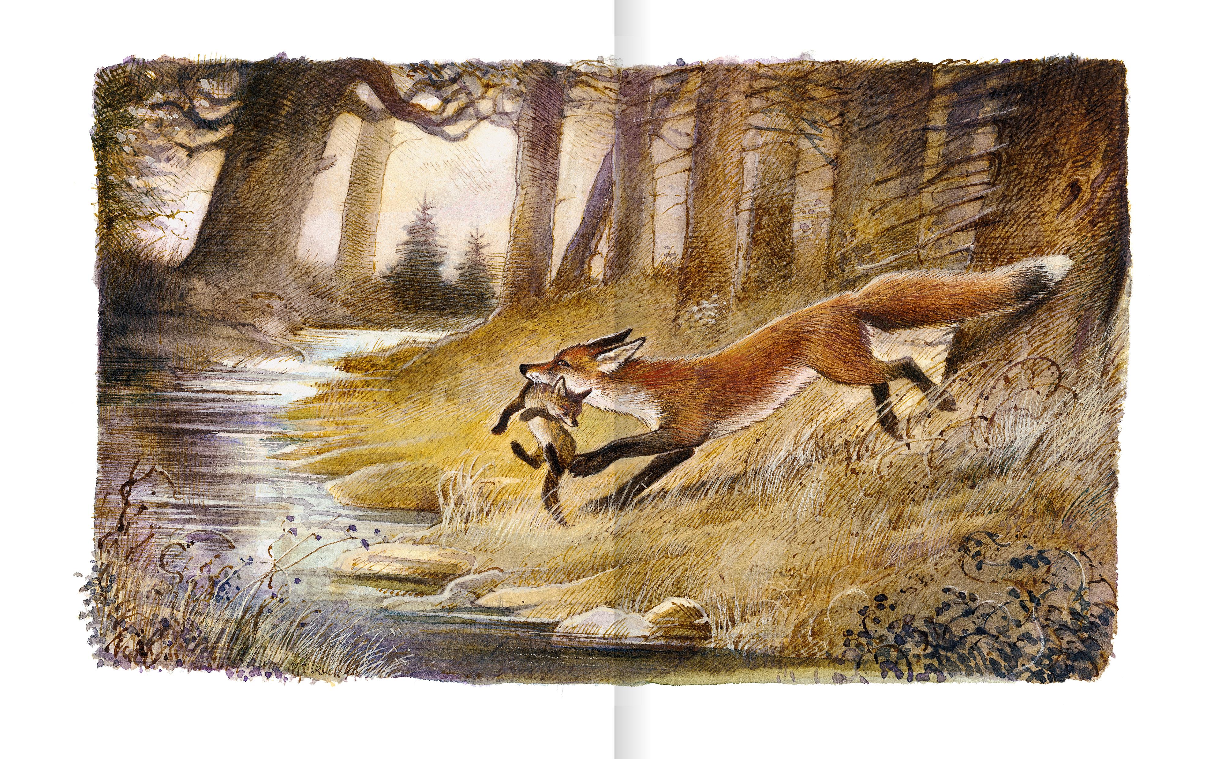 Beispielinhalt (Bild) Der Findefuchs