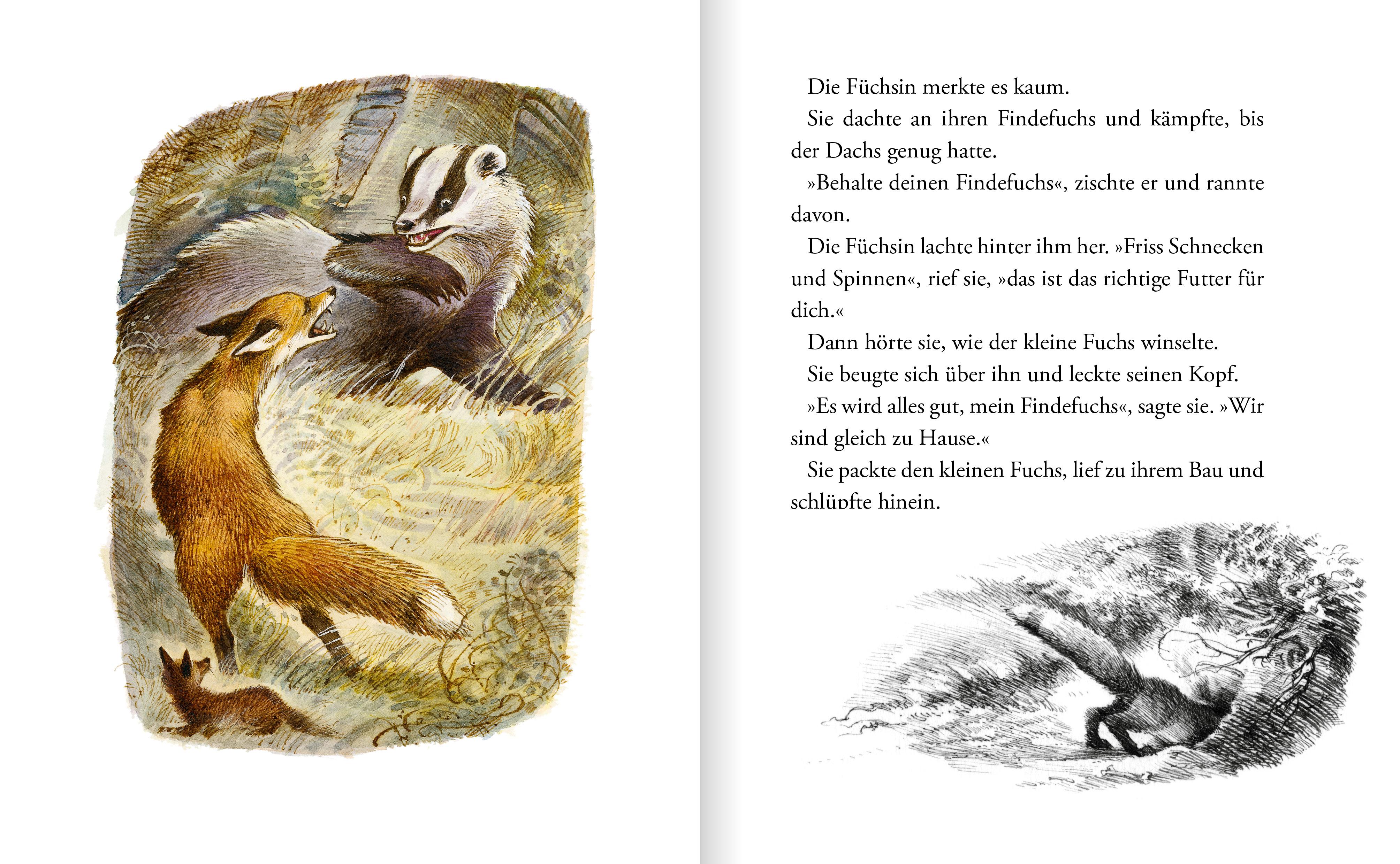 Beispielinhalt (Bild) Der Findefuchs