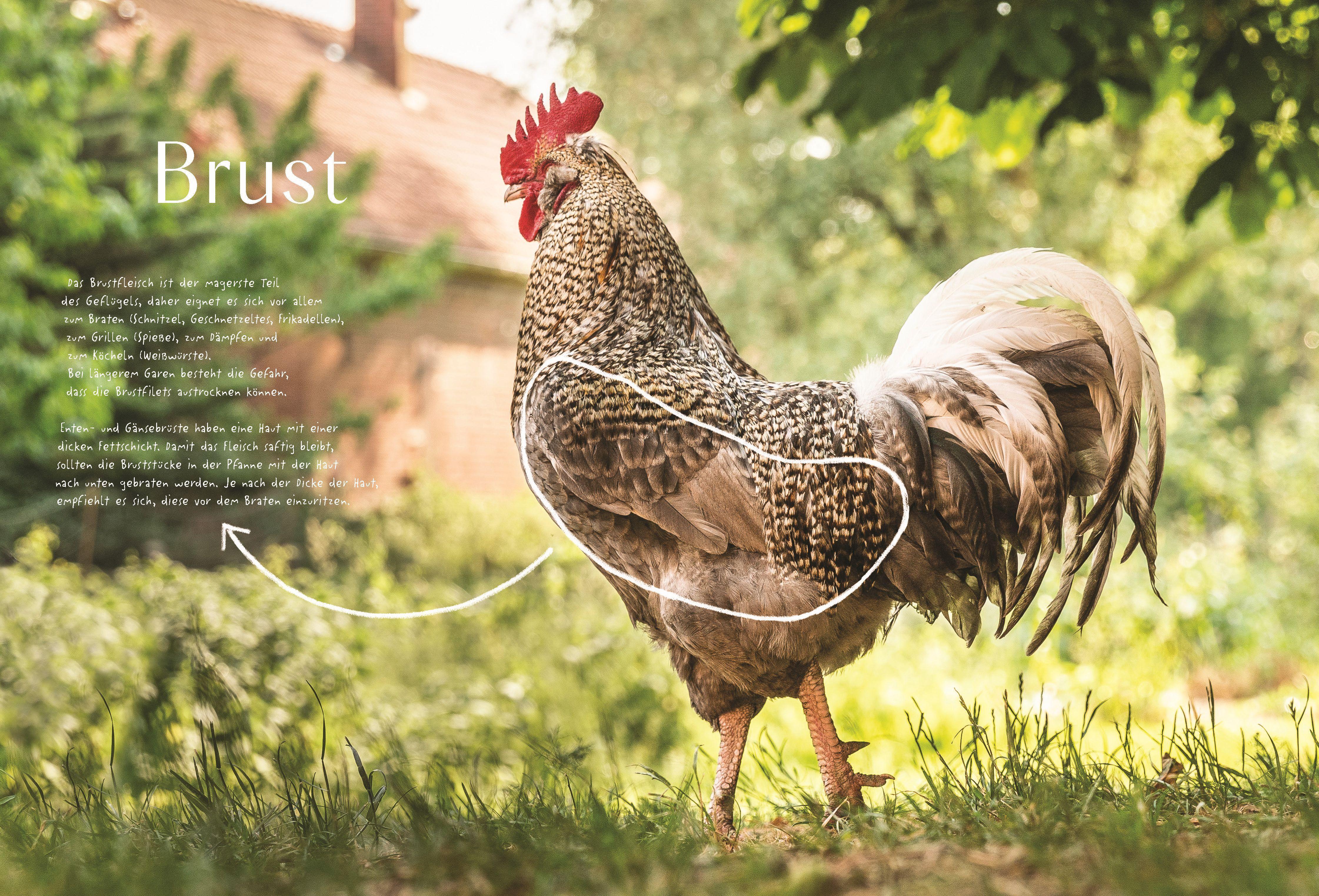 Beispielinhalt (Bild) Das ganze Huhn