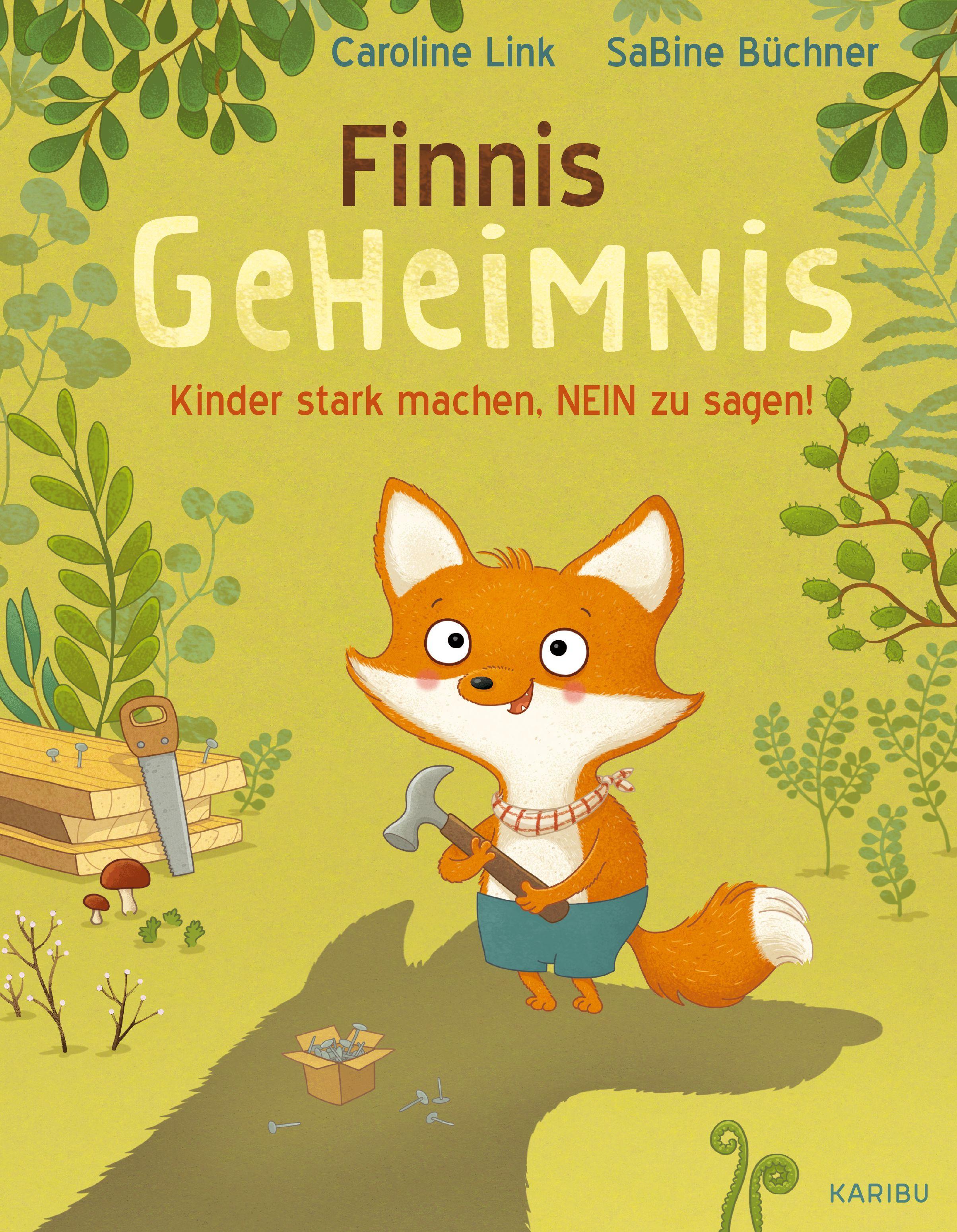 Vorderes Coverbild Finnis Geheimnis