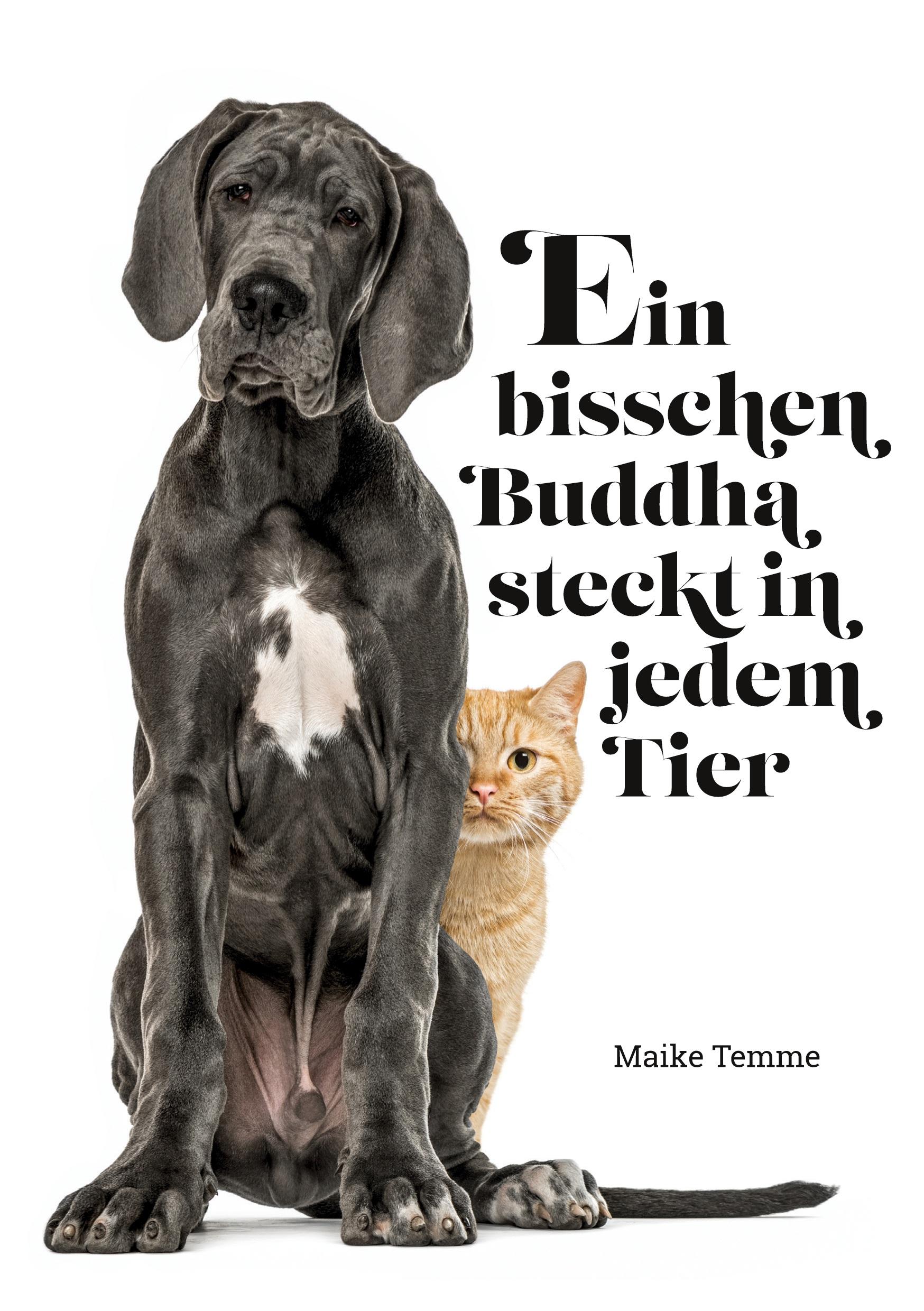 Vorderes Coverbild Ein bisschen Buddha steckt in jedem Tier