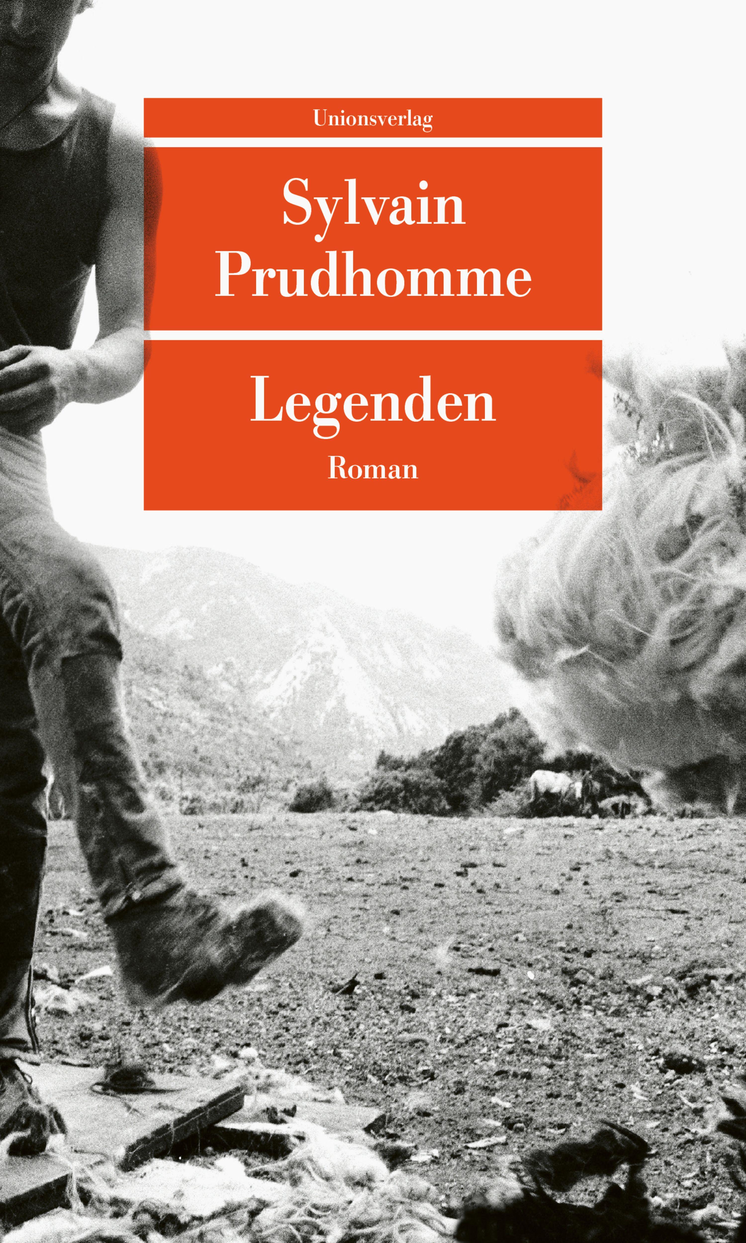 Vorderes Coverbild Legenden