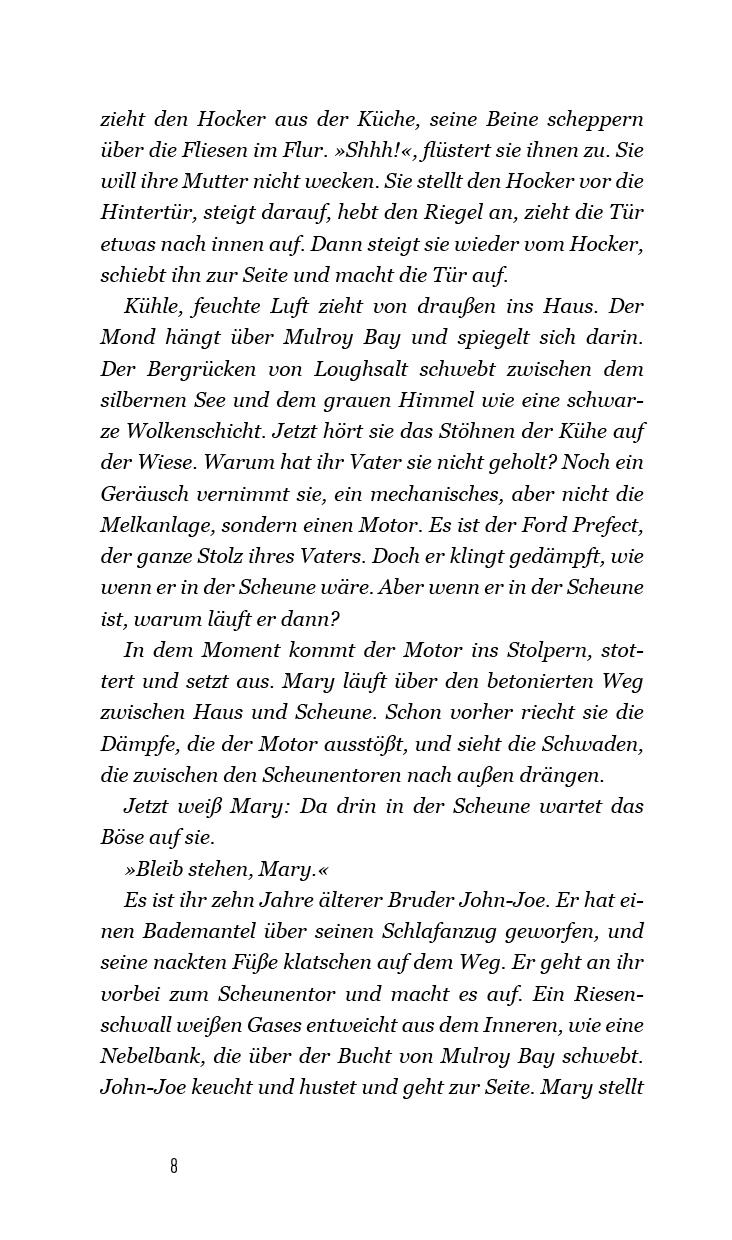 Beispielinhalt (Bild) Rückkehr nach Irland